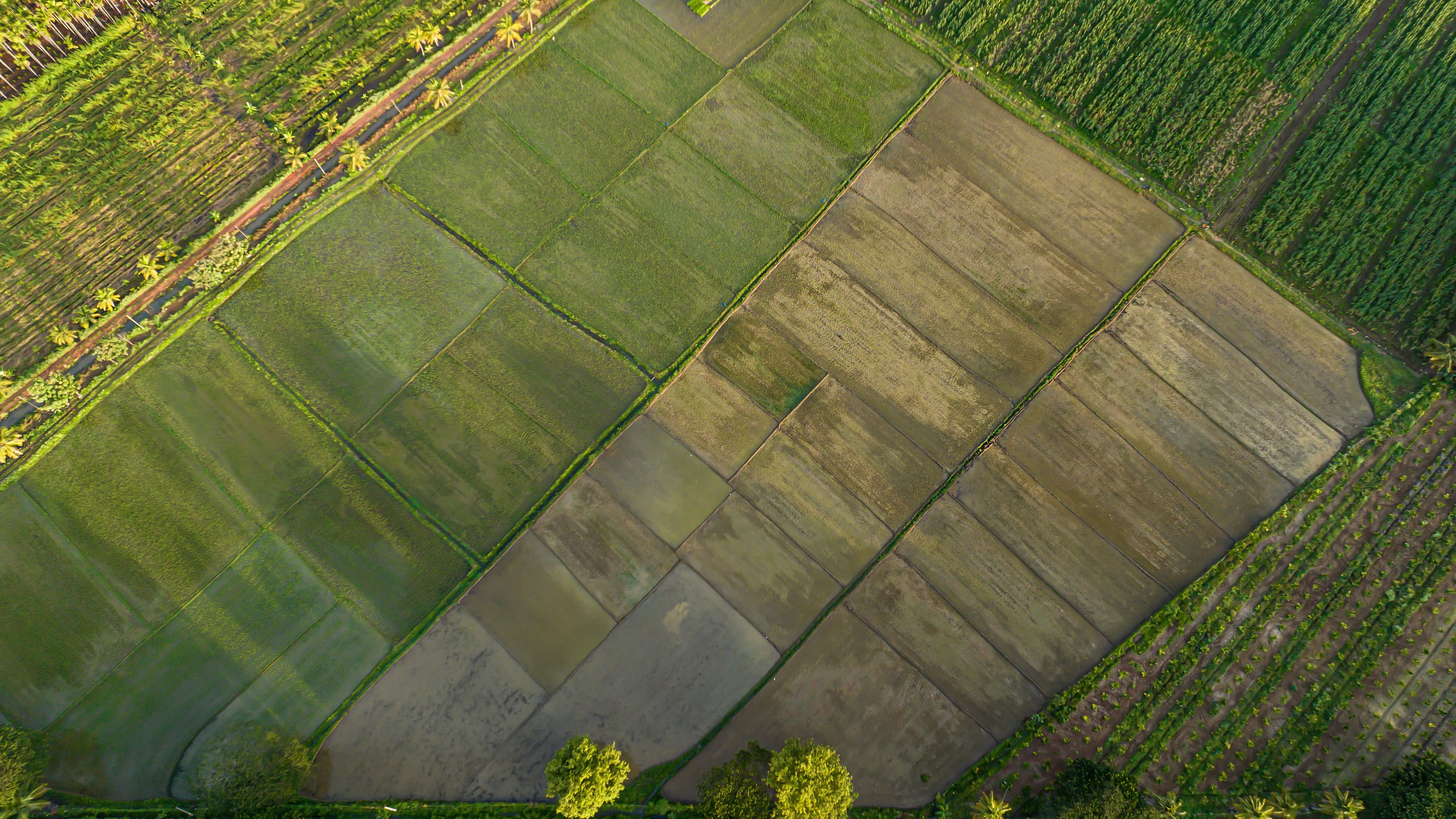 Землю на 52 млн тенге вернули в госсобственность: Генпрокуратура фото на taspanews.kz от 26 марта 2026 10:17