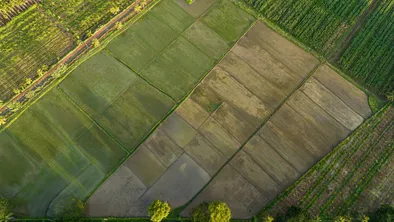 Землю на 52 млн тенге вернули в госсобственность: Генпрокуратура