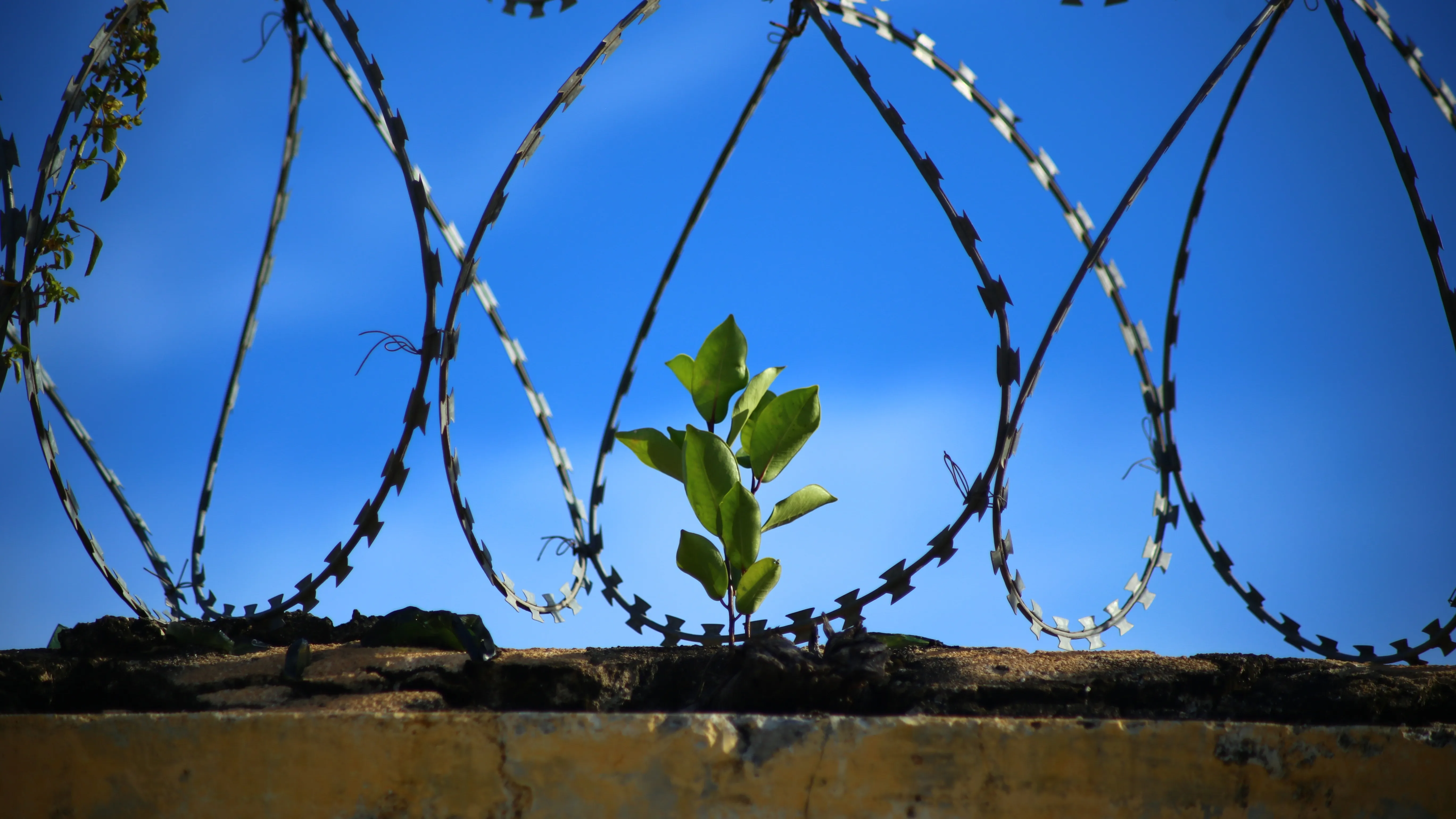 В Семее осужденный убил другого заключенного в колонии фото на taspanews.kz от 26 марта 2026 15:55