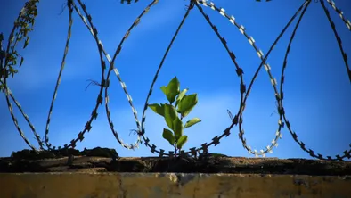 В Семее осужденный убил другого заключенного в колонии