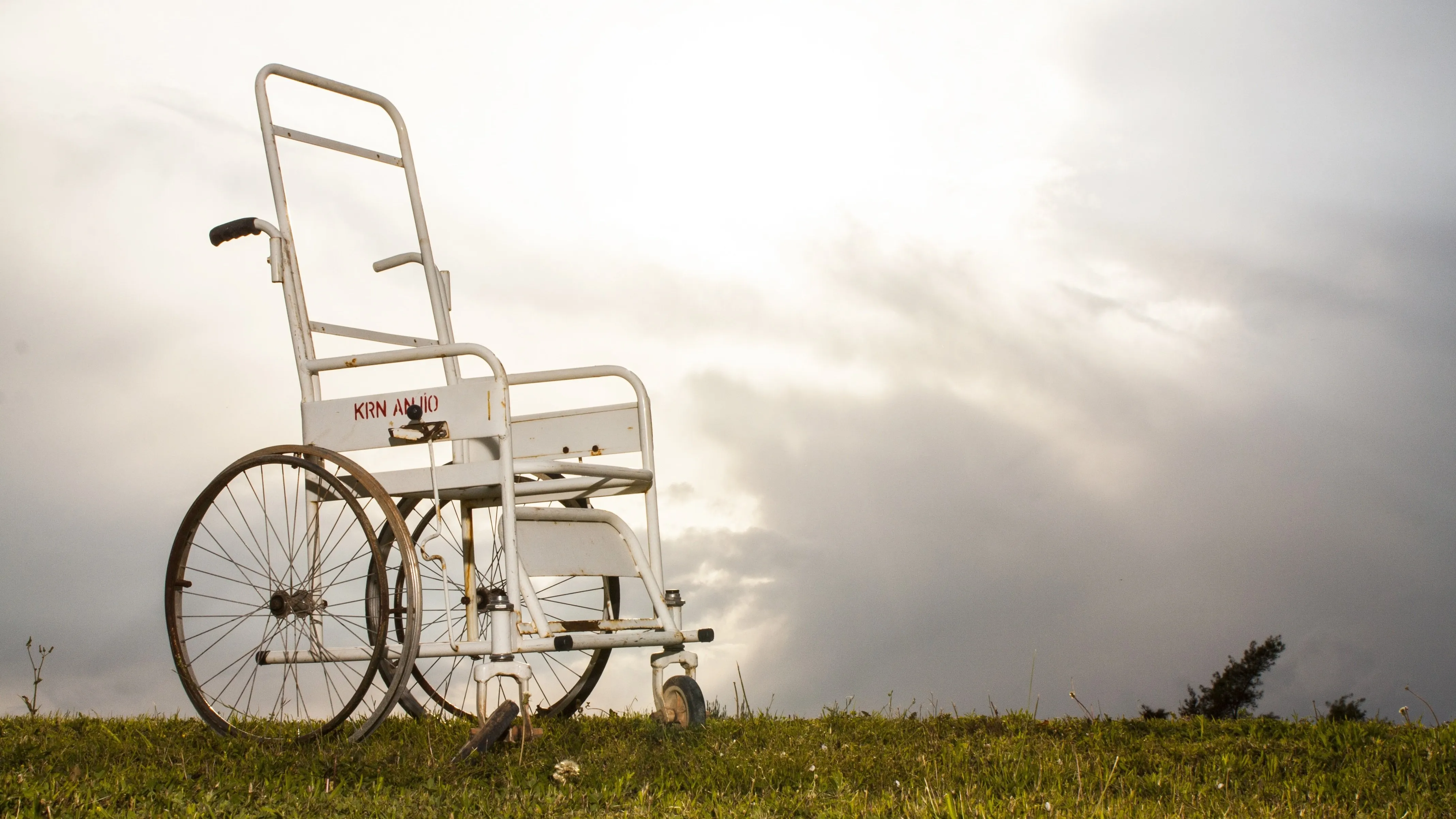 Более 51 тыс. казахстанцев пострадали в ДТП в прошлом году фото на taspanews.kz от 27 марта 2026 15:39