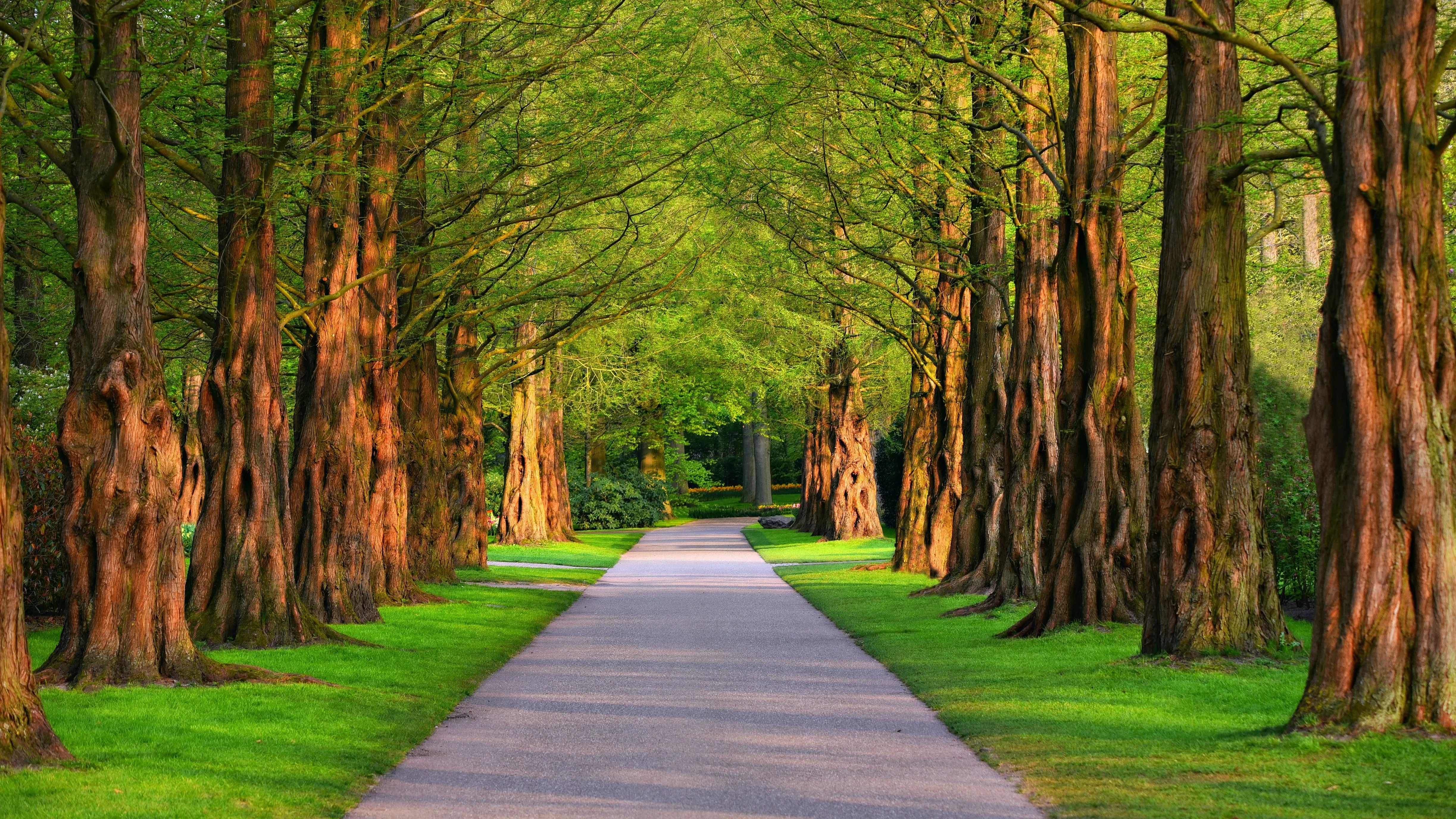 Инновационный парк на 1,2 га появится в Алматы фото на taspanews.kz от 30 марта 2026 13:39