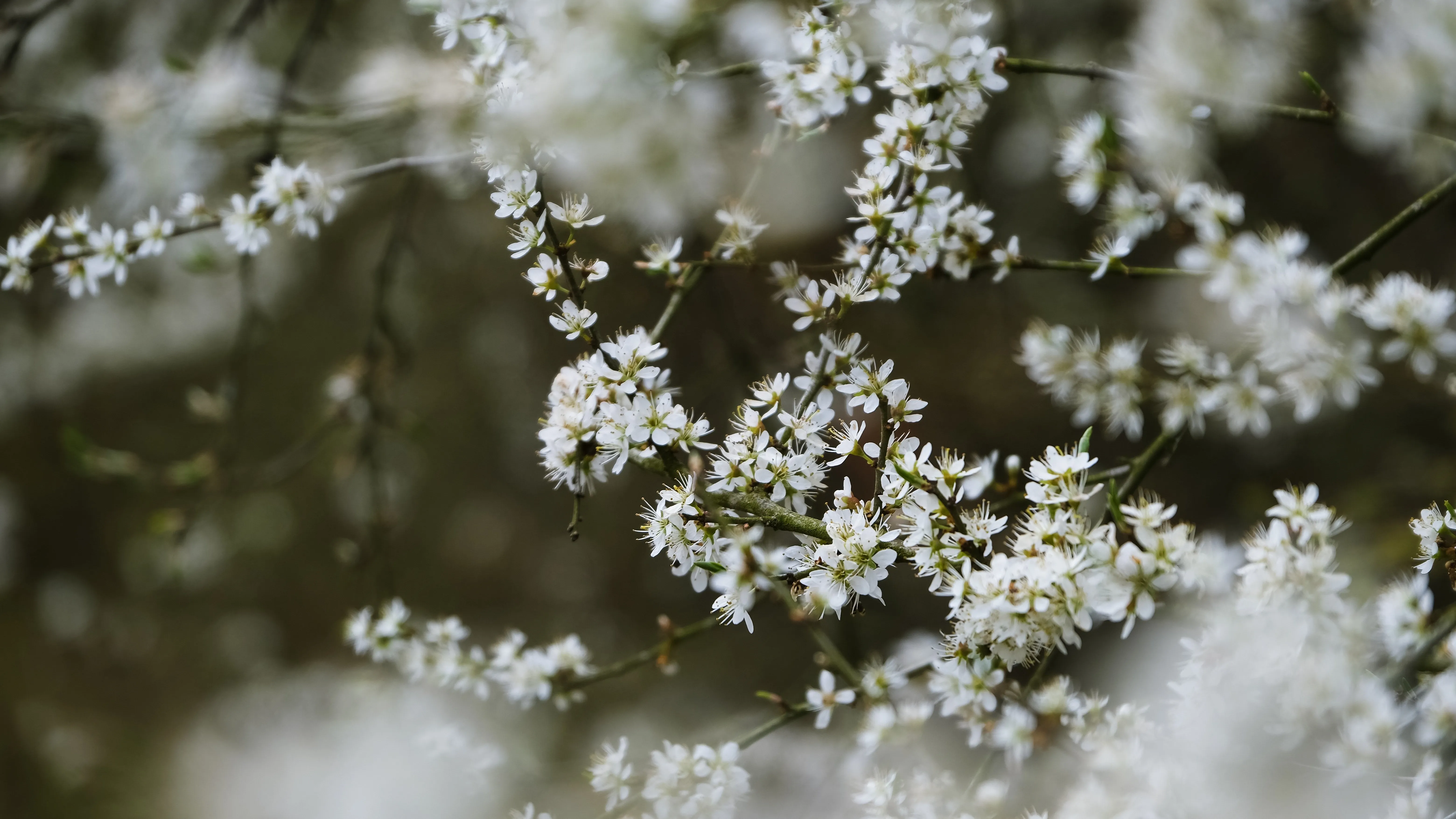 Астана, Алматы, Шымкент: прогноз погоды на сегодня фото на taspanews.kz от 31 марта 2026 09:04