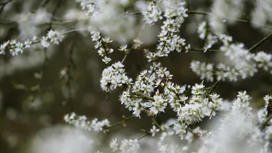 Астана, Алматы, Шымкент: прогноз погоды на сегодня
