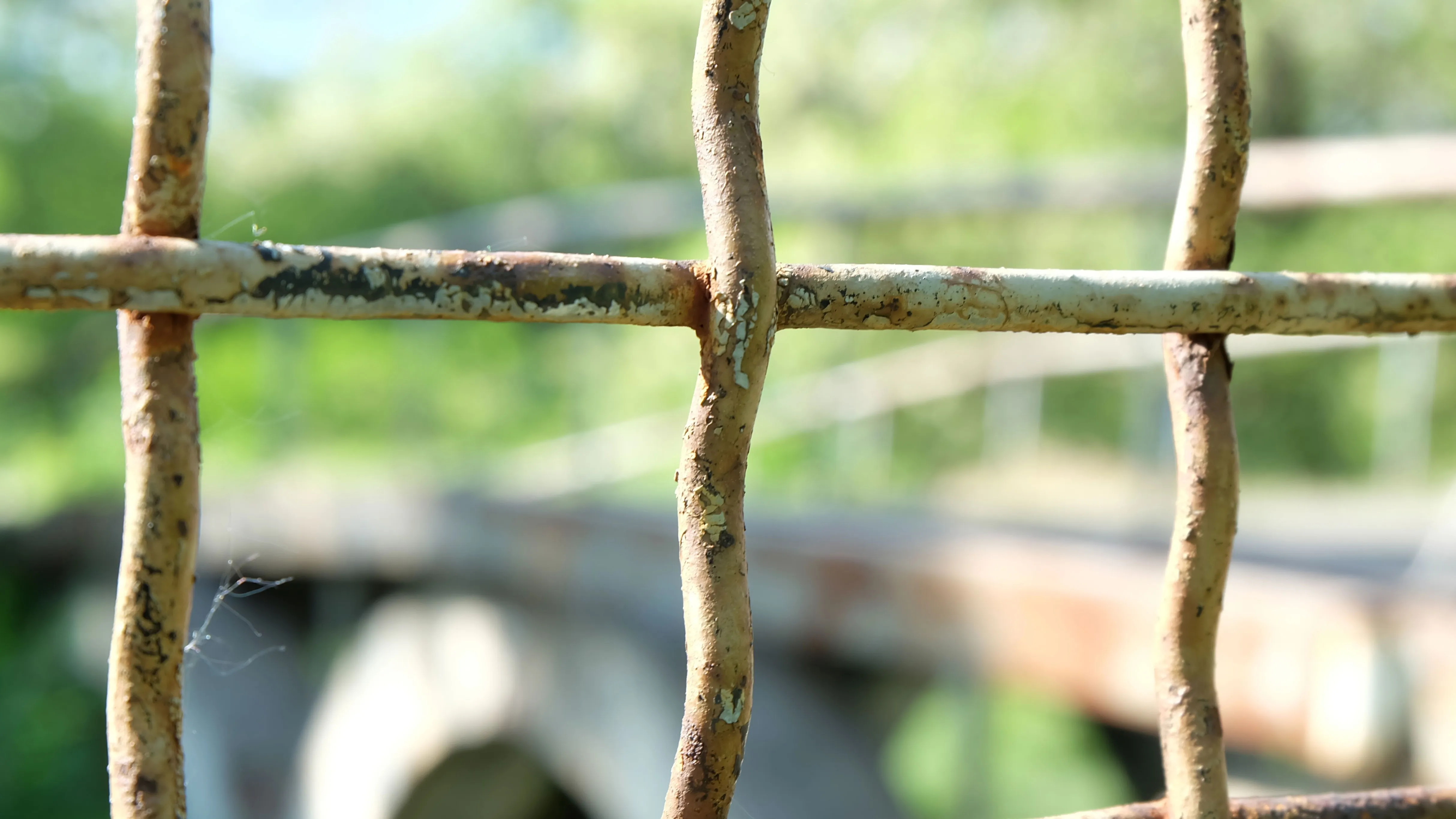 В Костанае расследуется групповое избиение полицейского фото на taspanews.kz от 01 апреля 2026 15:02