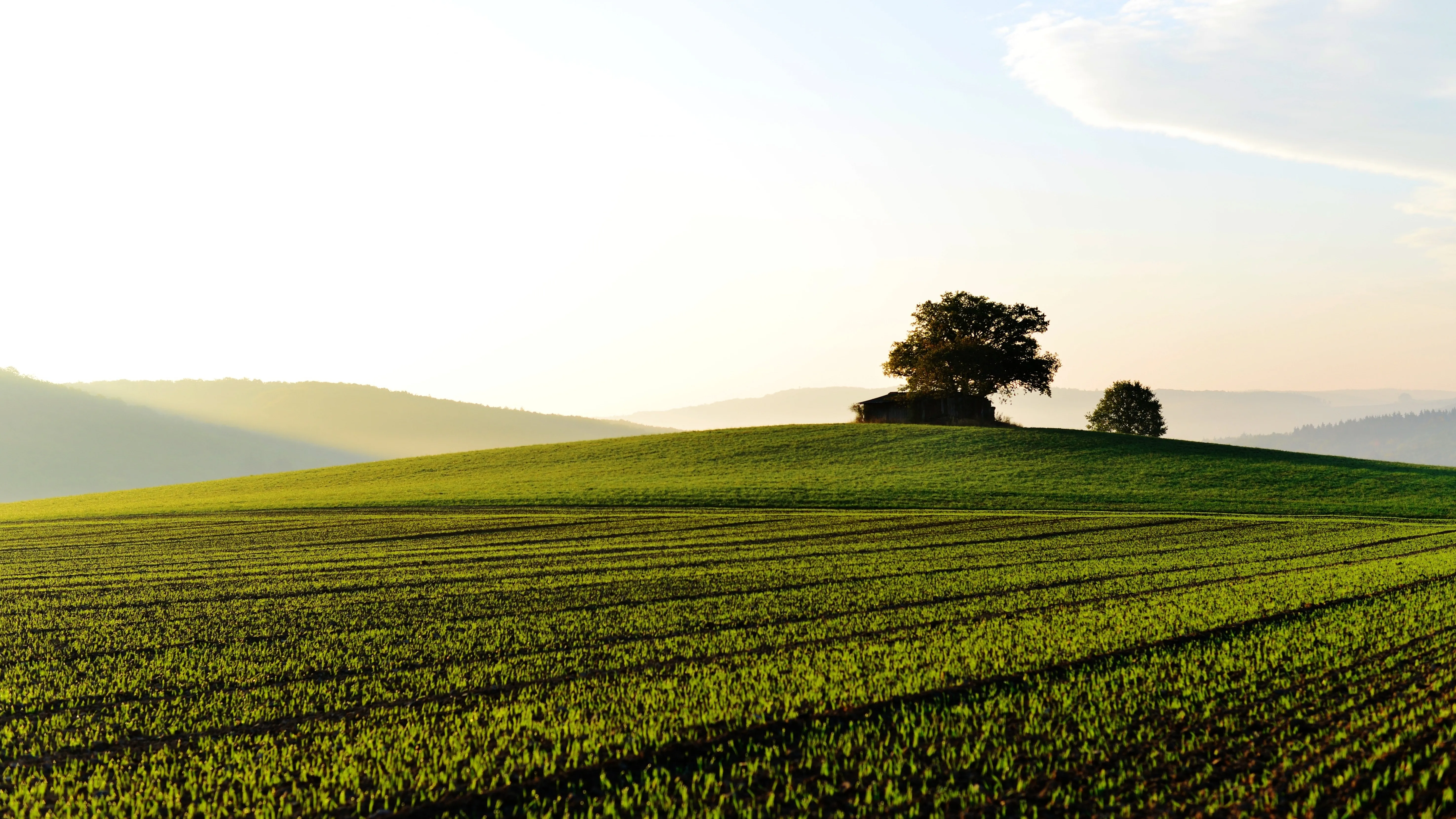 Больше сотни участков изымут в Алматы для государственных нужд фото на taspanews.kz от 01 апреля 2026 15:11