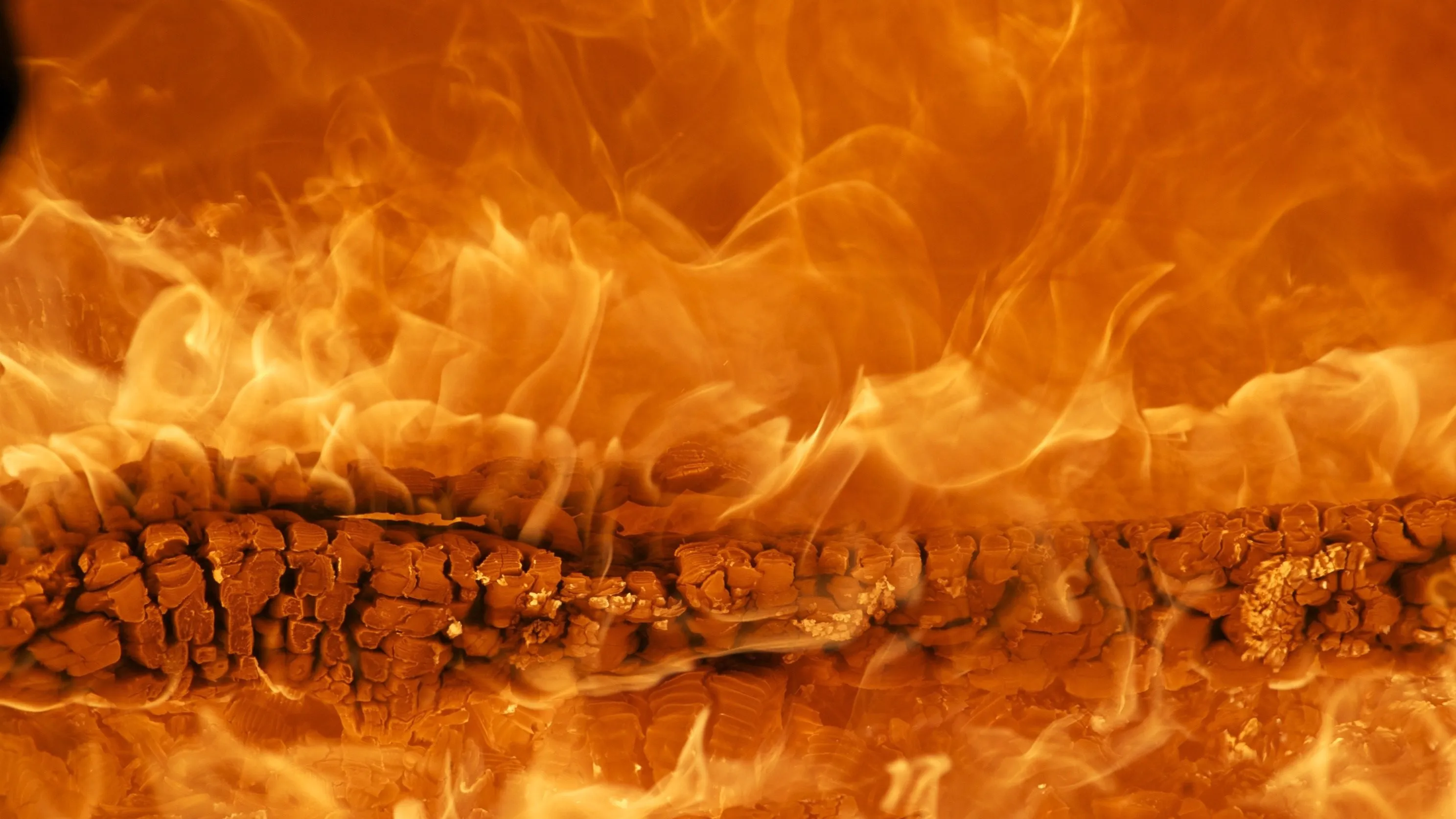 В Туркестанской области владельца мусорного полигона оштрафовали на 865 тыс. тенге из-за пожара фото на taspanews.kz от 02 апреля 2026 10:20