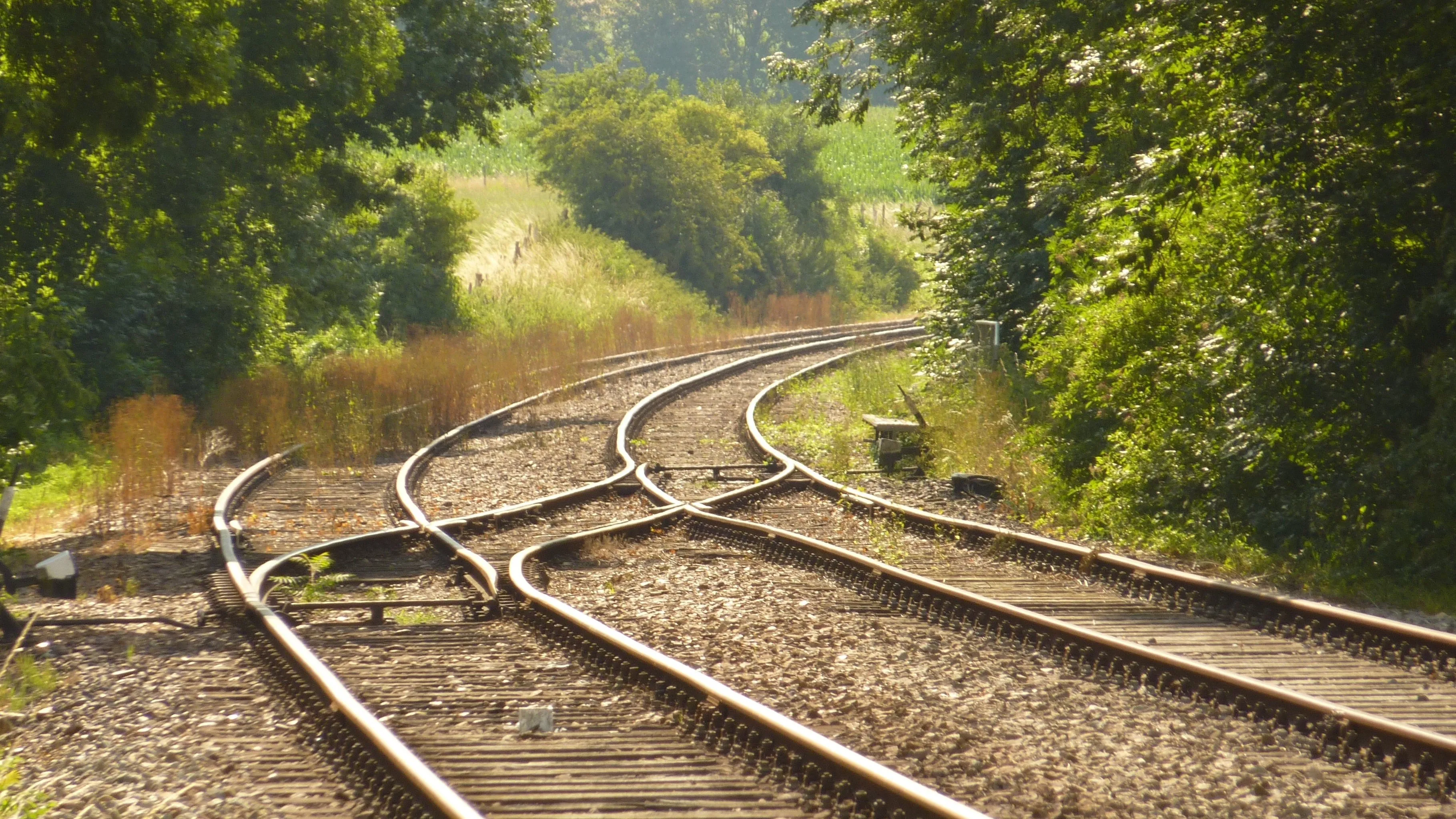 25% скидки ввели на три жд-направления фото на taspanews.kz от 02 апреля 2026 12:45