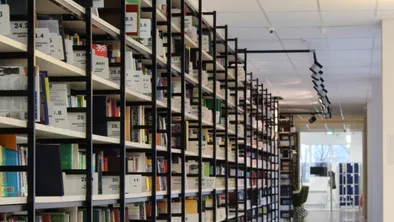 Токаев заслушал доклад Саясата Нурбека