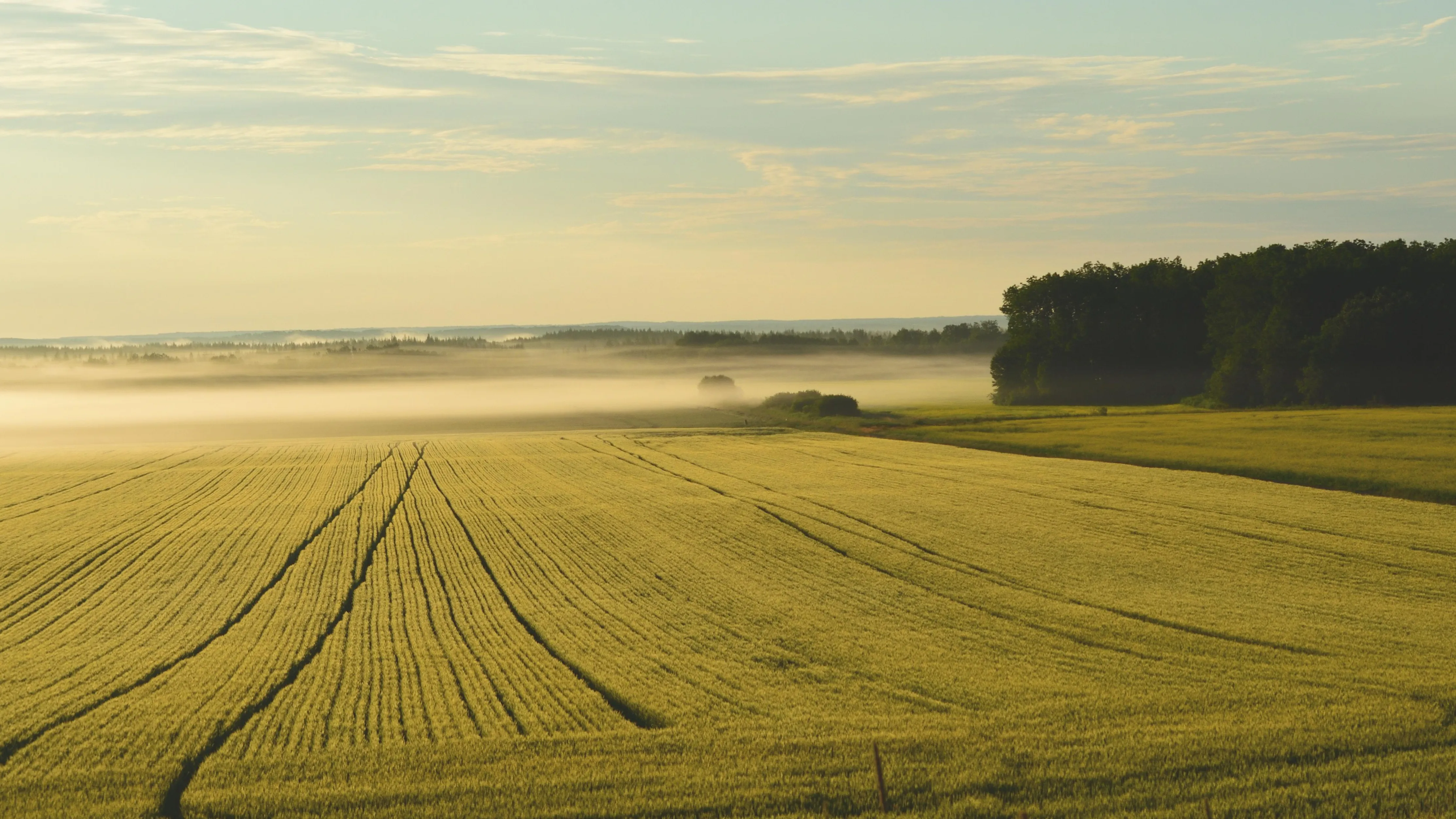 288 га земли в Алматы вернули в госсобственность фото на taspanews.kz от 08 апреля 2026 09:48