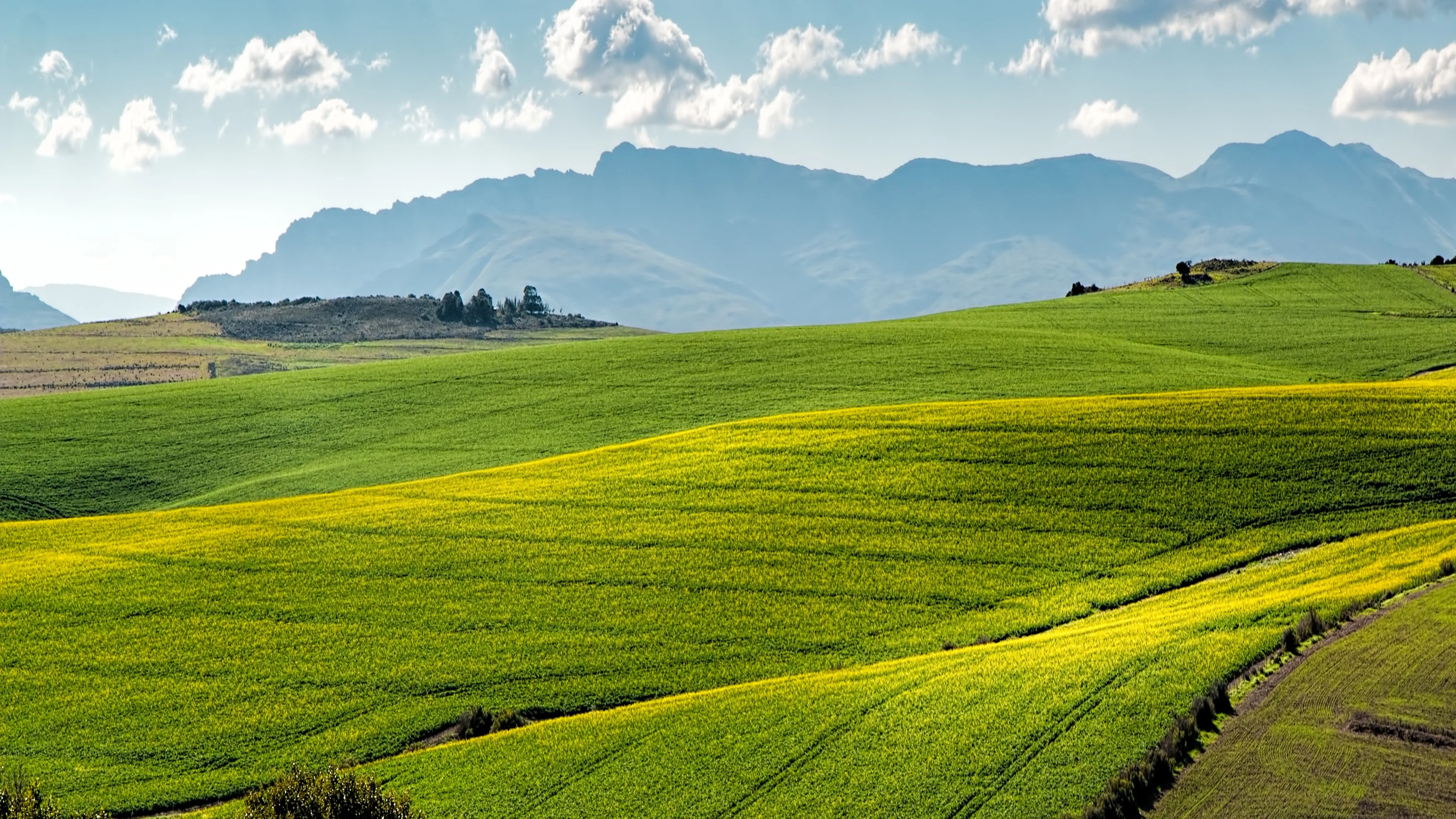В МСХ рассказали, как будут бороться с саранчой фото на taspanews.kz от 08 апреля 2026 12:46