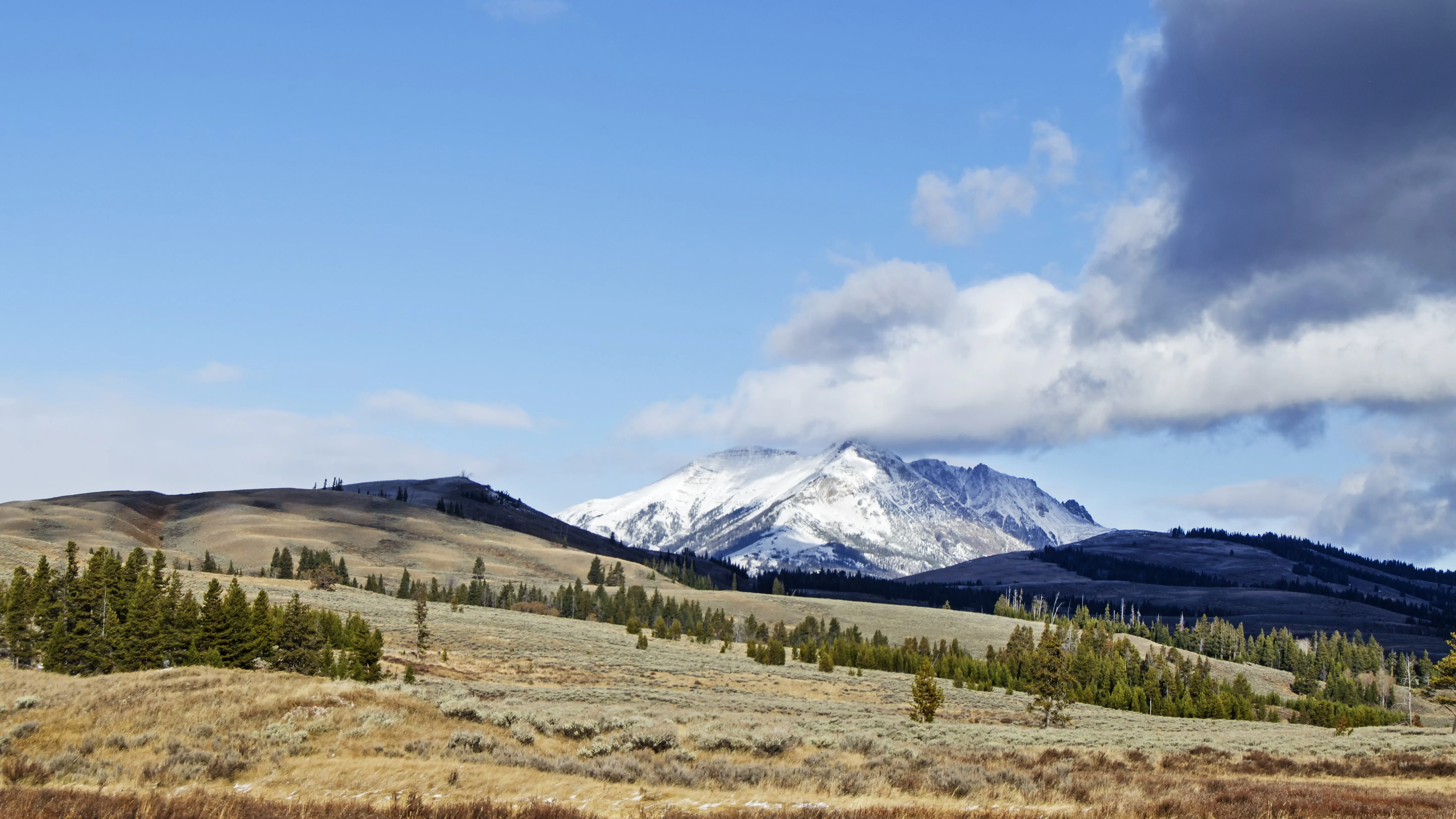 В Костанайской области в собственность государства вернули землю на 50,8 млн тенге фото на taspanews.kz от 08 апреля 2026 12:53