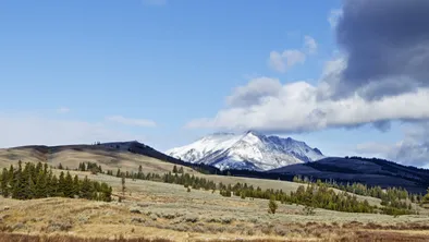 В Костанайской области в собственность государства вернули землю на 50,8 млн тенге