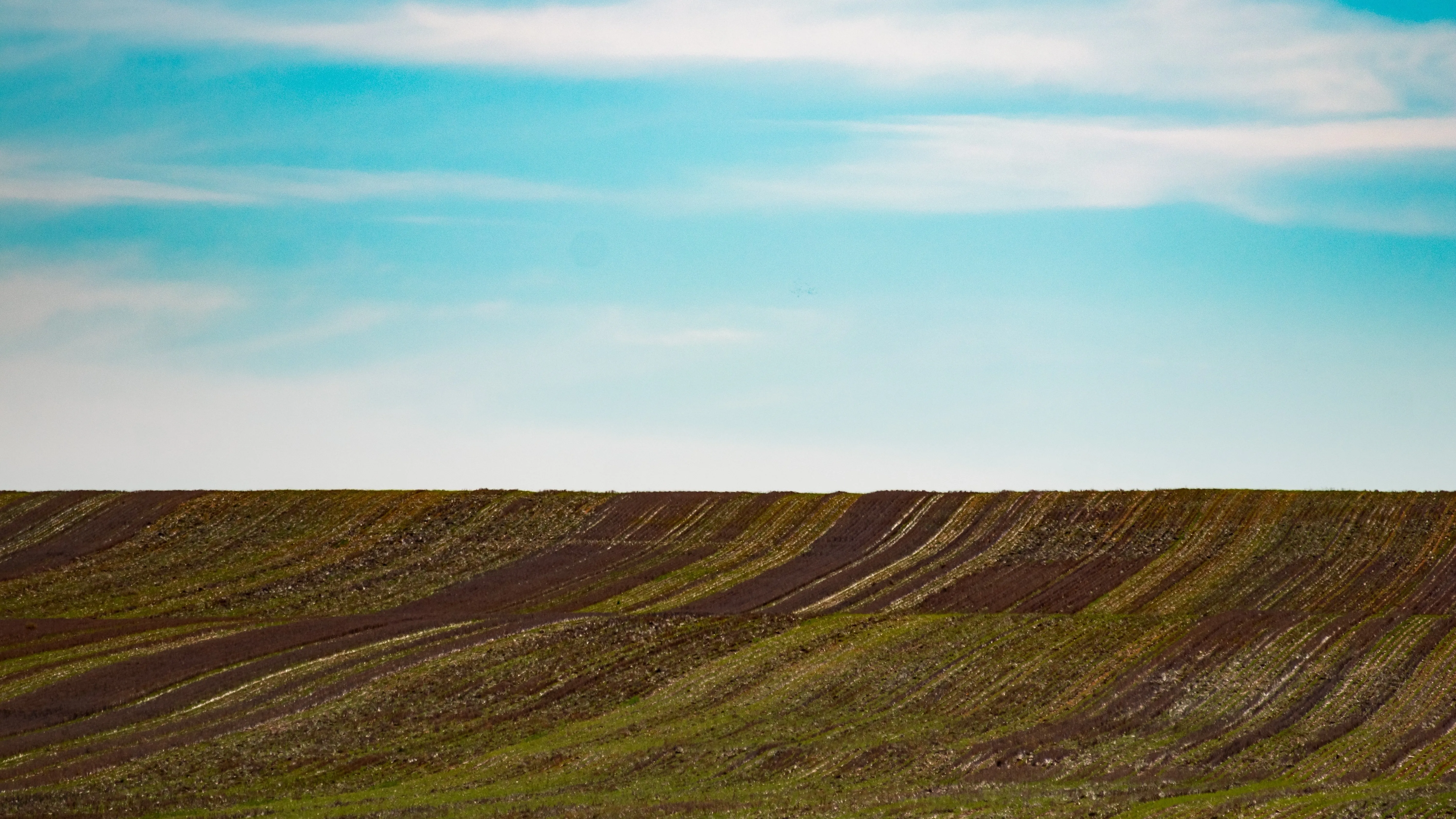 ЭКСПО построят в Алматы: изъят будет почти 1 га земли фото на taspanews.kz от 13 апреля 2026 13:01