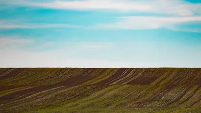 ЭКСПО построят в Алматы: изъят будет почти 1 га земли