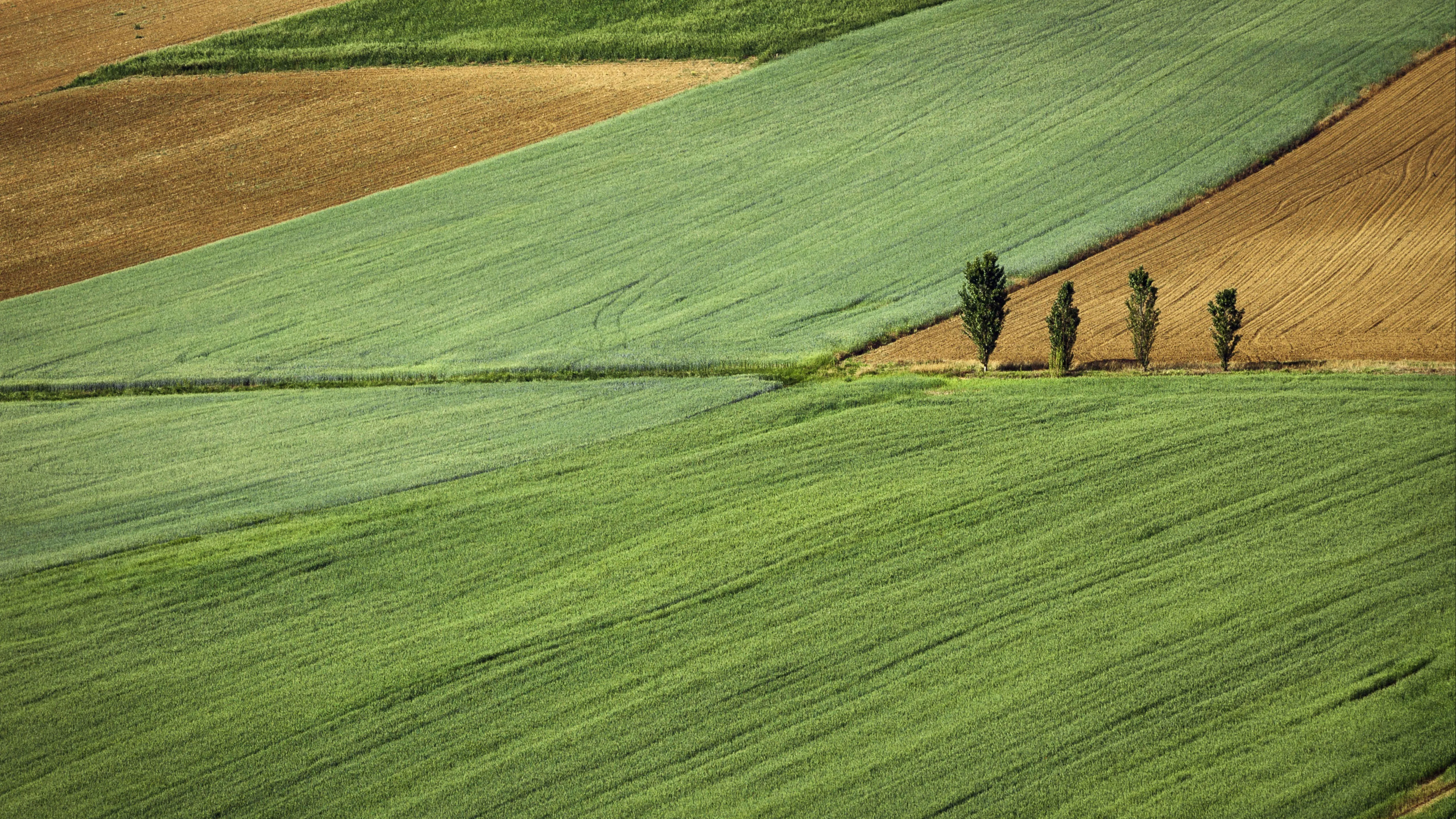 Еще полсотни участков изымут в Алматы фото на taspanews.kz от 14 апреля 2026 12:40