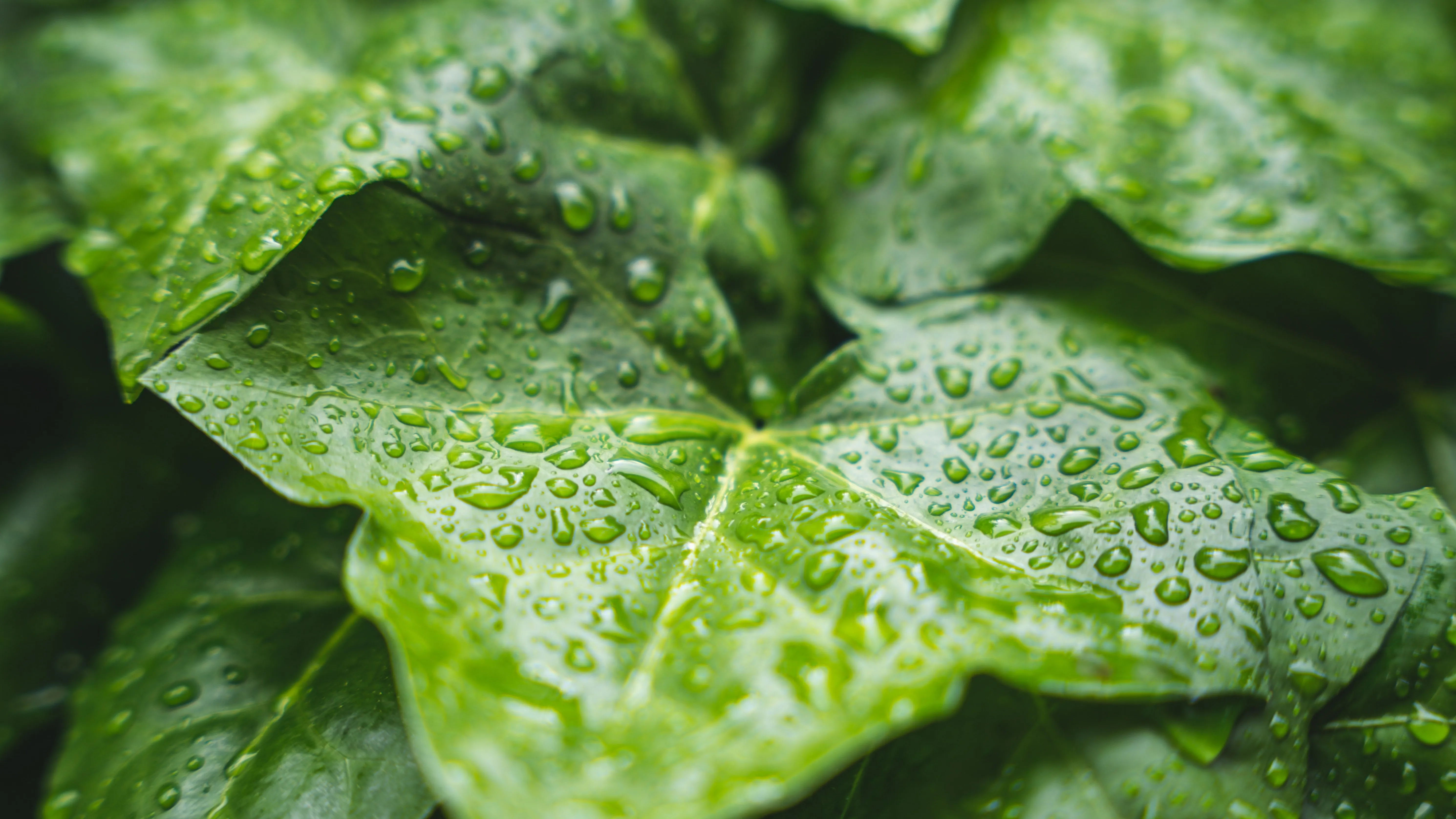 Дождь, гроза и снег: прогноз погоды на сегодня в мегаполисах Казахстана фото на taspanews.kz от 15 апреля 2026 09:08