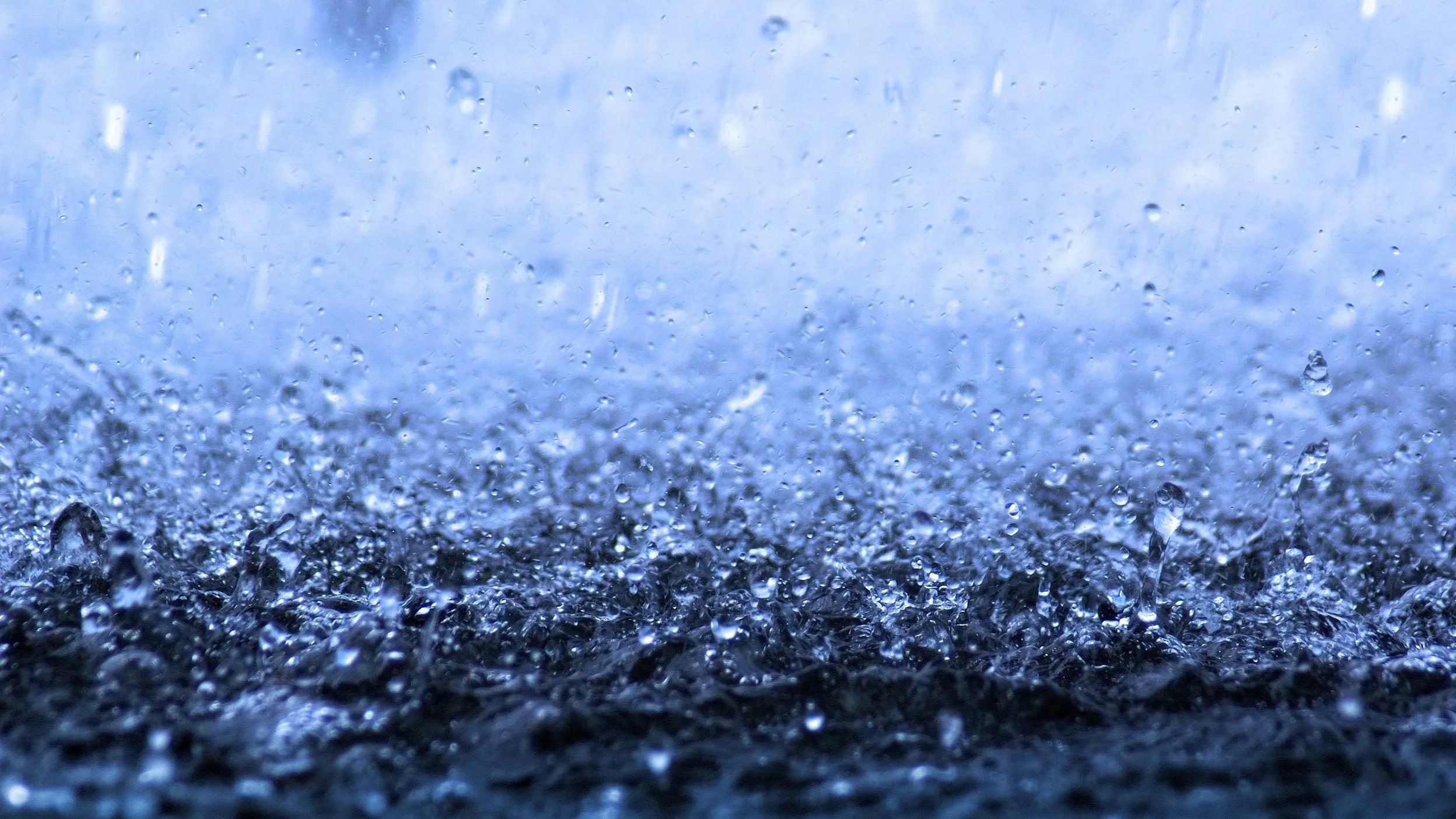 Коммунальщики Алматы перешли на усиленный режим в преддверии осадков фото на taspanews.kz от 16 апреля 2026 12:18