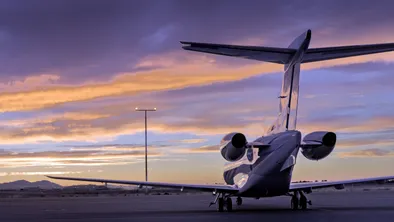 Самолет сбил собаку в Шымкенте