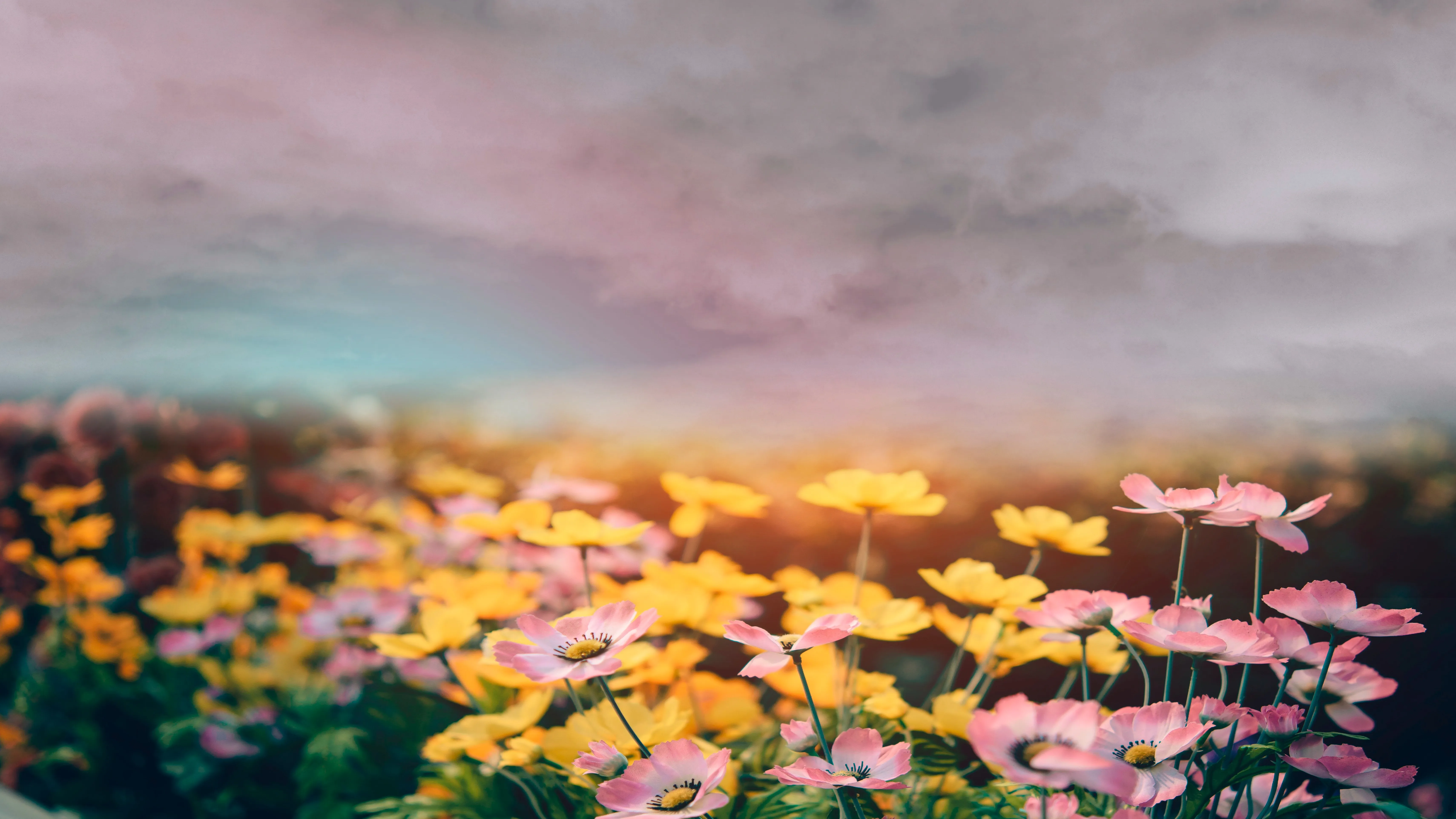 До 25 градусов тепла: погода в Астане, Алматы и Шымкенте на сегодня фото на taspanews.kz от 20 апреля 2026 09:13