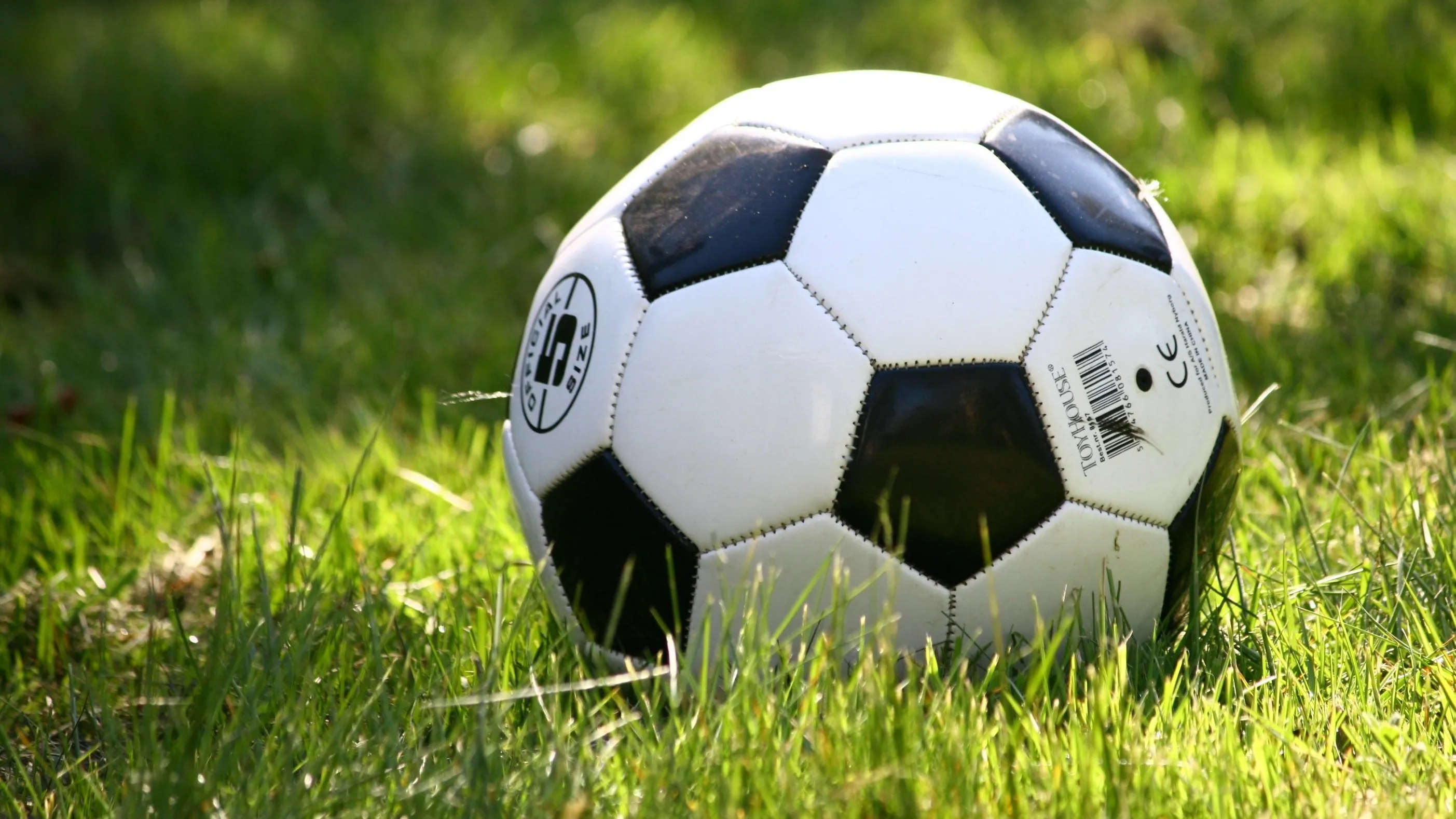 В Алматы на 50 МРП оштрафовали ФК "Хан Тенгри"  фото на taspanews.kz от 20 апреля 2026 12:54