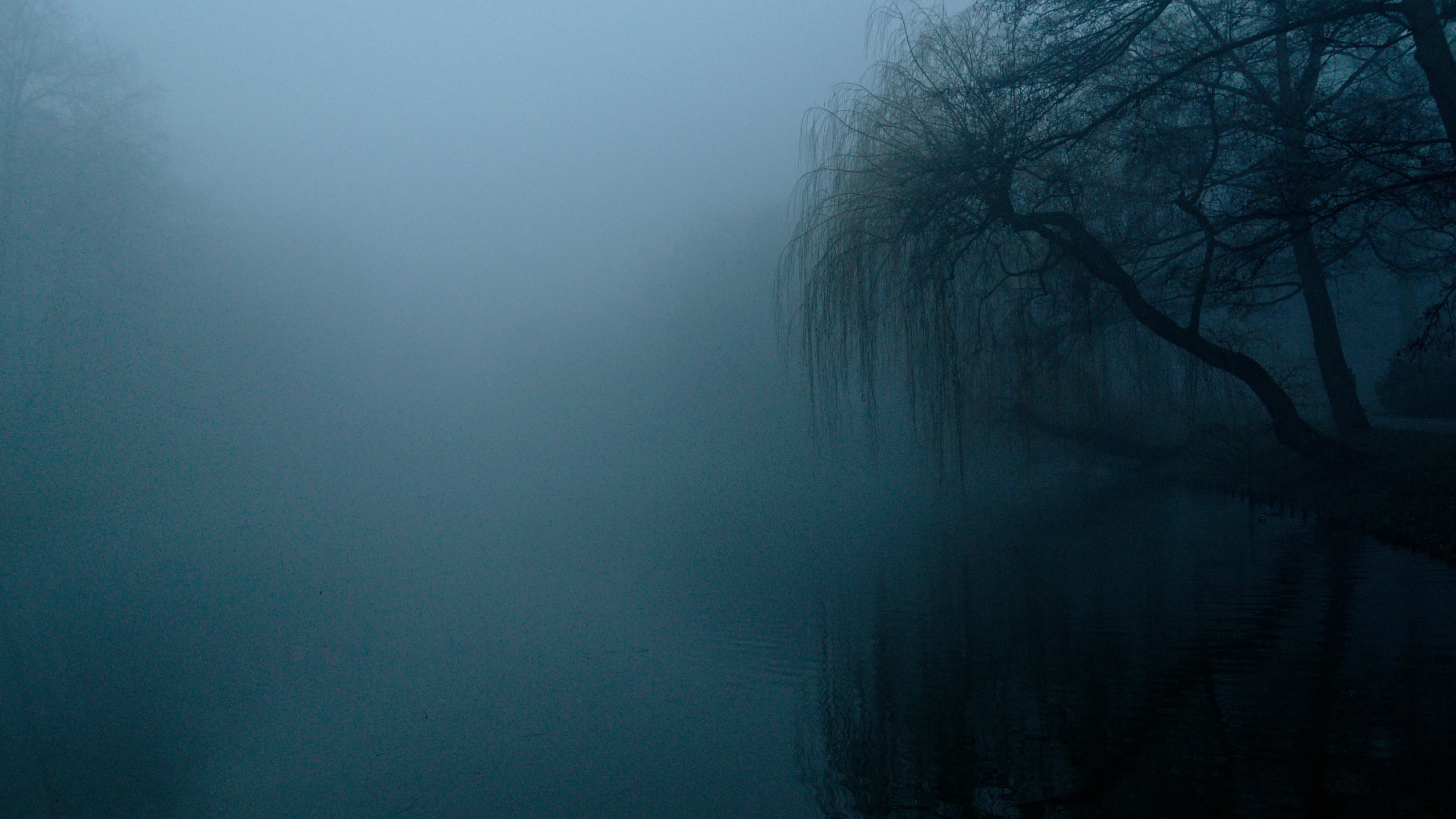 Полиция расследует убийство женщины в Павлодарской области фото на taspanews.kz от 22 апреля 2026 16:30