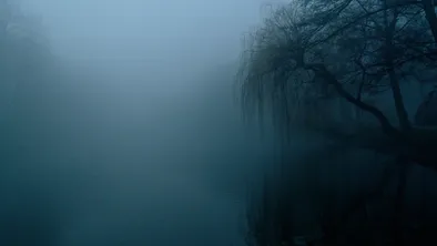 Полиция расследует убийство женщины в Павлодарской области