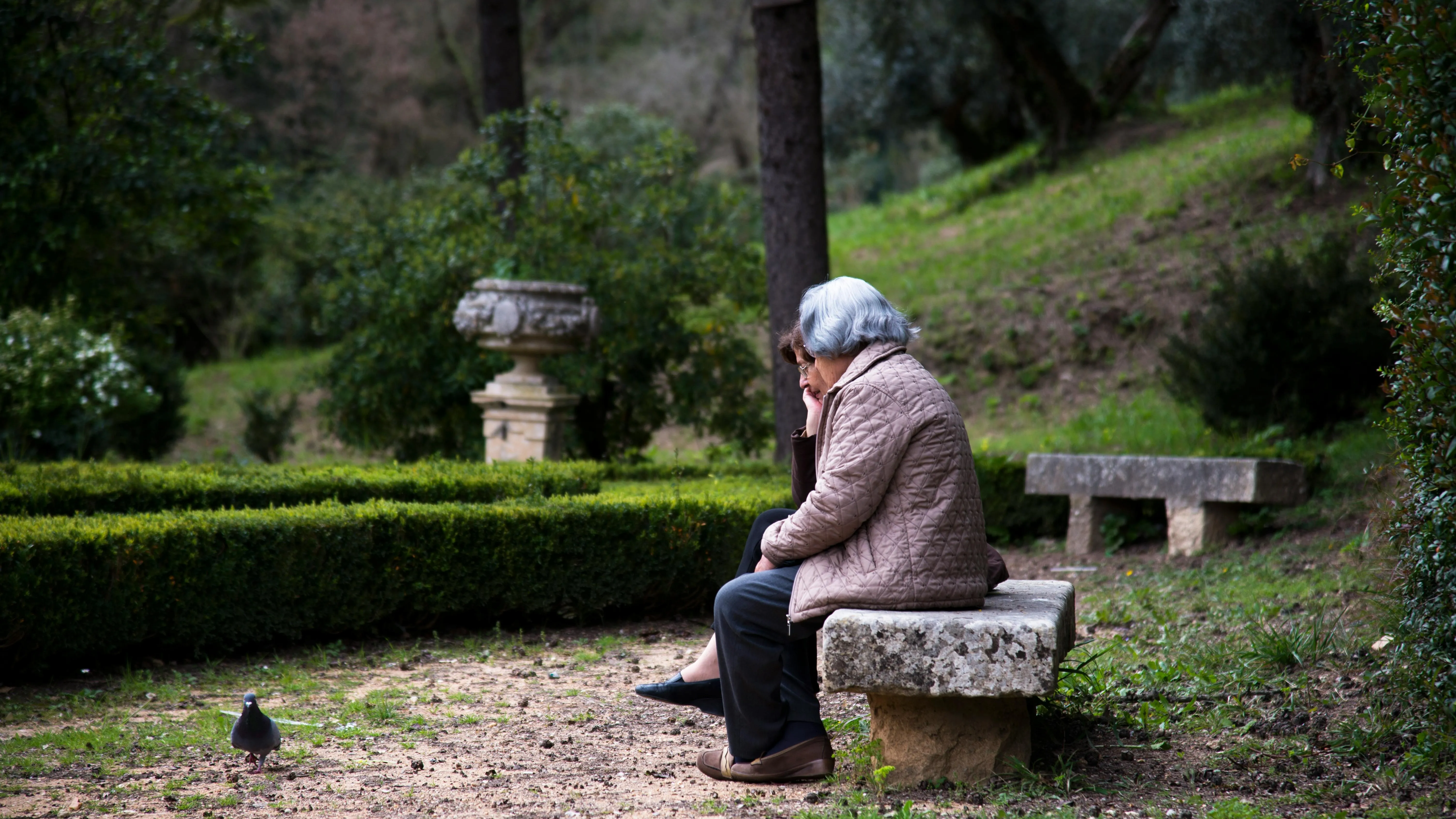 В Алматы пенсионерку избили прямо на остановке фото на taspanews.kz от 24 апреля 2026 10:35