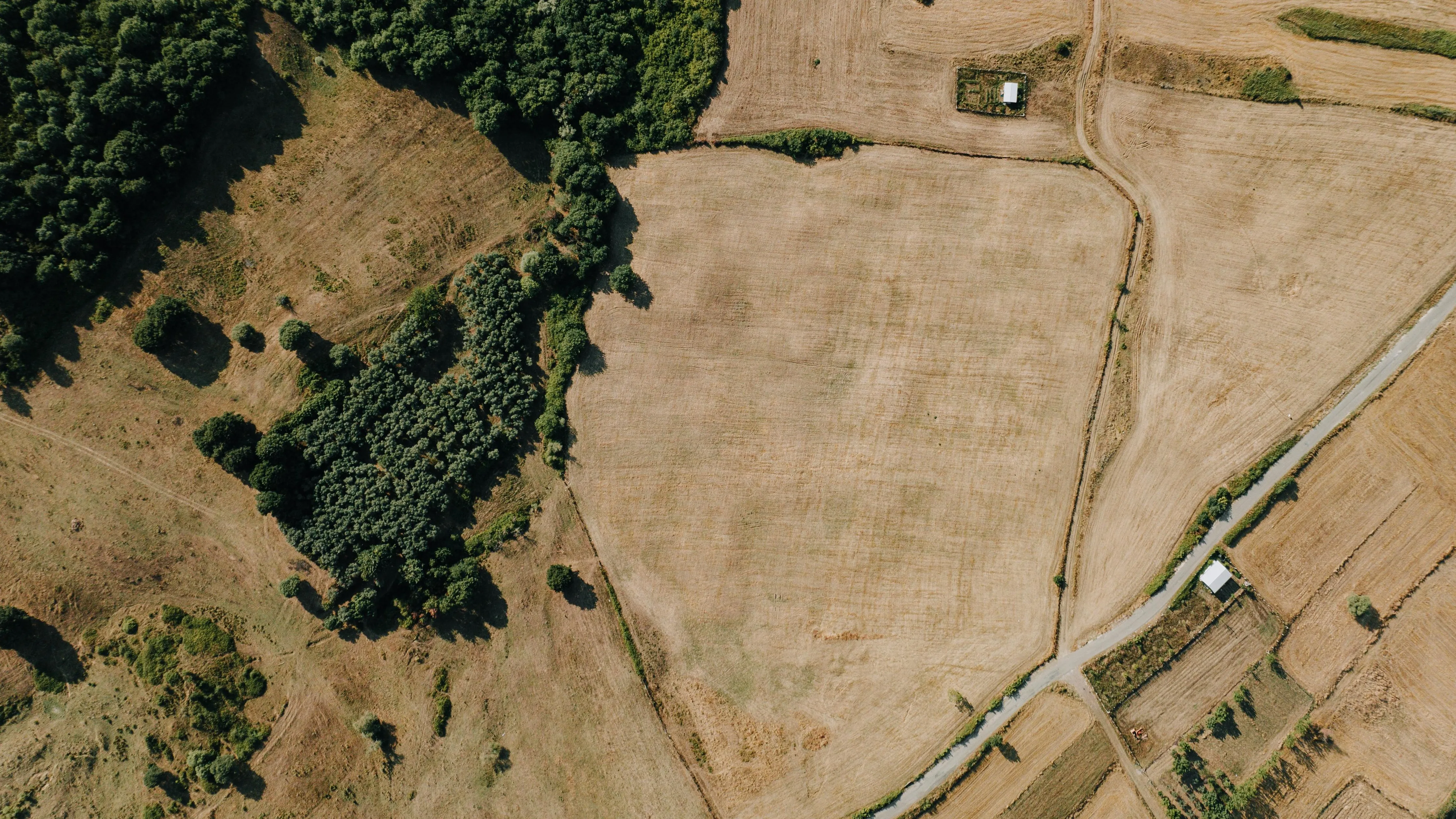 В Алматы для спецназа КНБ изымут землю на Кульджинском тракте фото на taspanews.kz от 24 апреля 2026 10:41