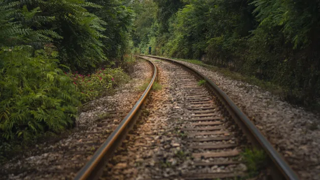 52 человека отравились в поезде: в Минтрансе раскрыли новые подробности