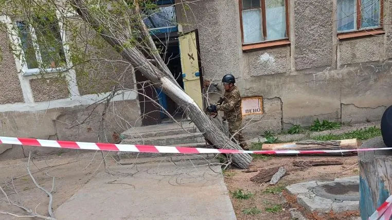 Ветер повалил деревья в Карагандинской области фото на taspanews.kz от 27 апреля 2026 09:07