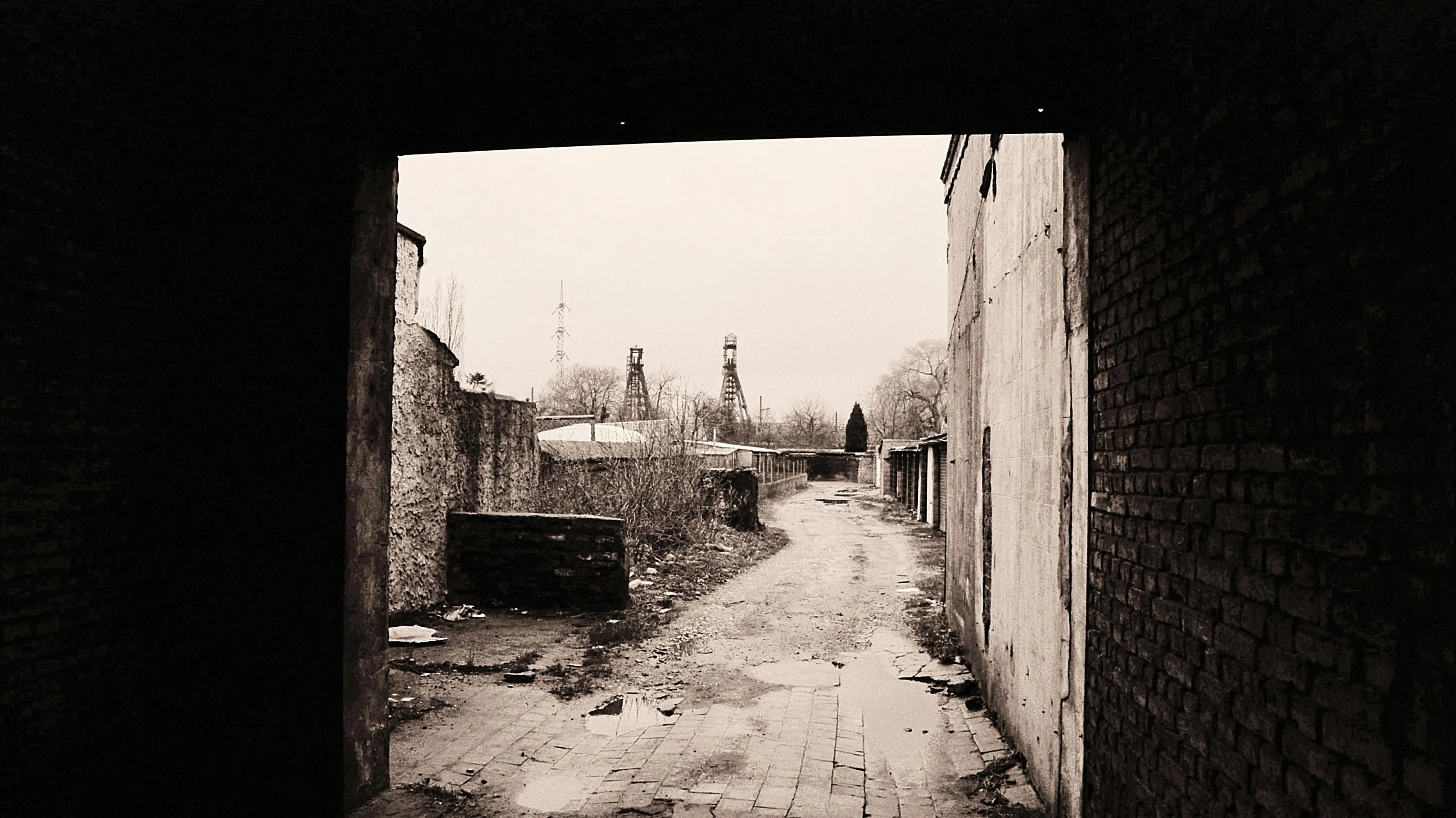 Шахтеры пострадали в области Абай: есть погибший фото на taspanews.kz от 28 апреля 2026 15:01