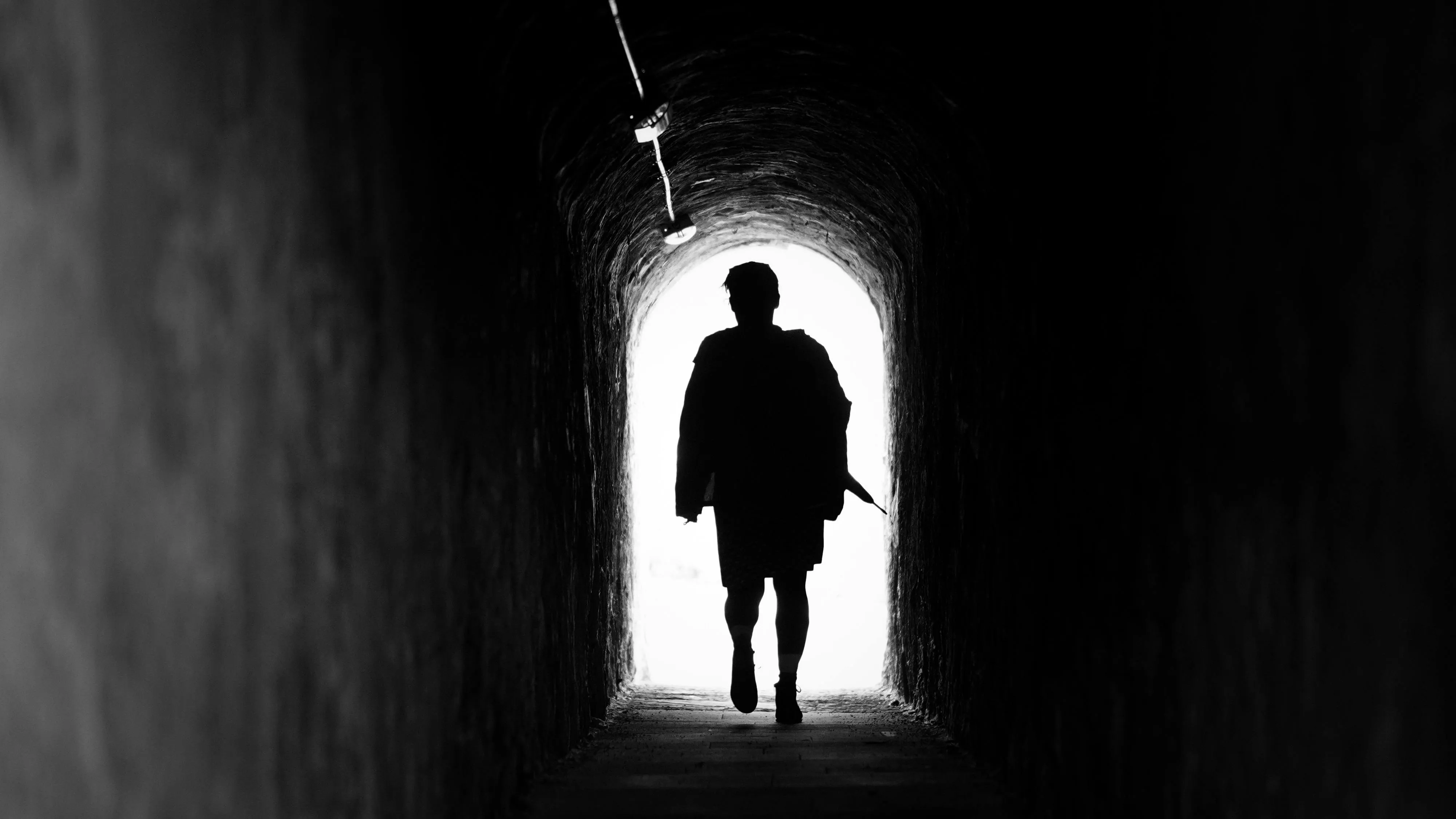 В Кызылорде прокуратура наказала сталкера фото на taspanews.kz от 29 апреля 2026 16:19