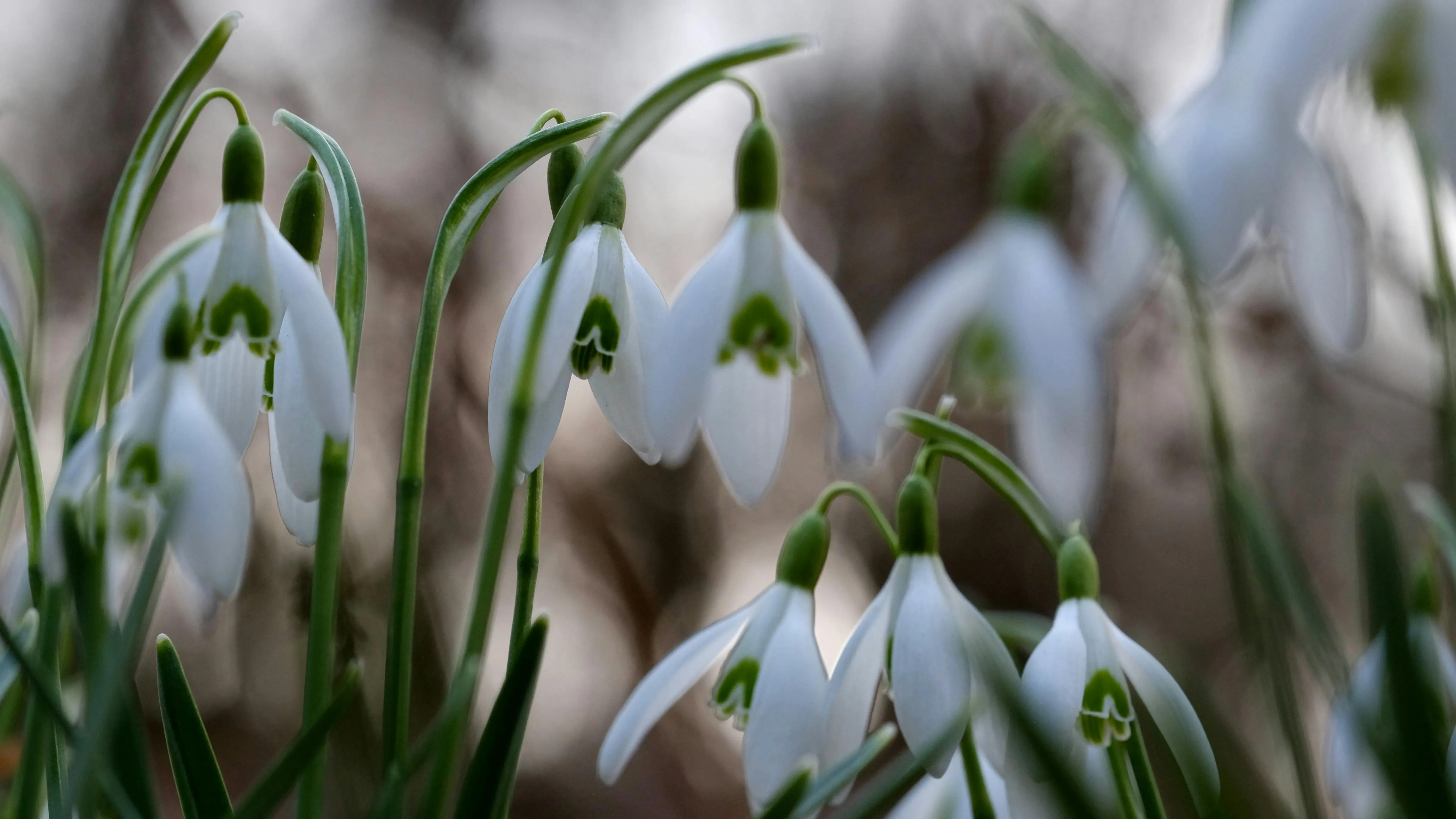 График работы ЦОН-ов на майские выходные фото на taspanews.kz от 30 апреля 2026 08:40