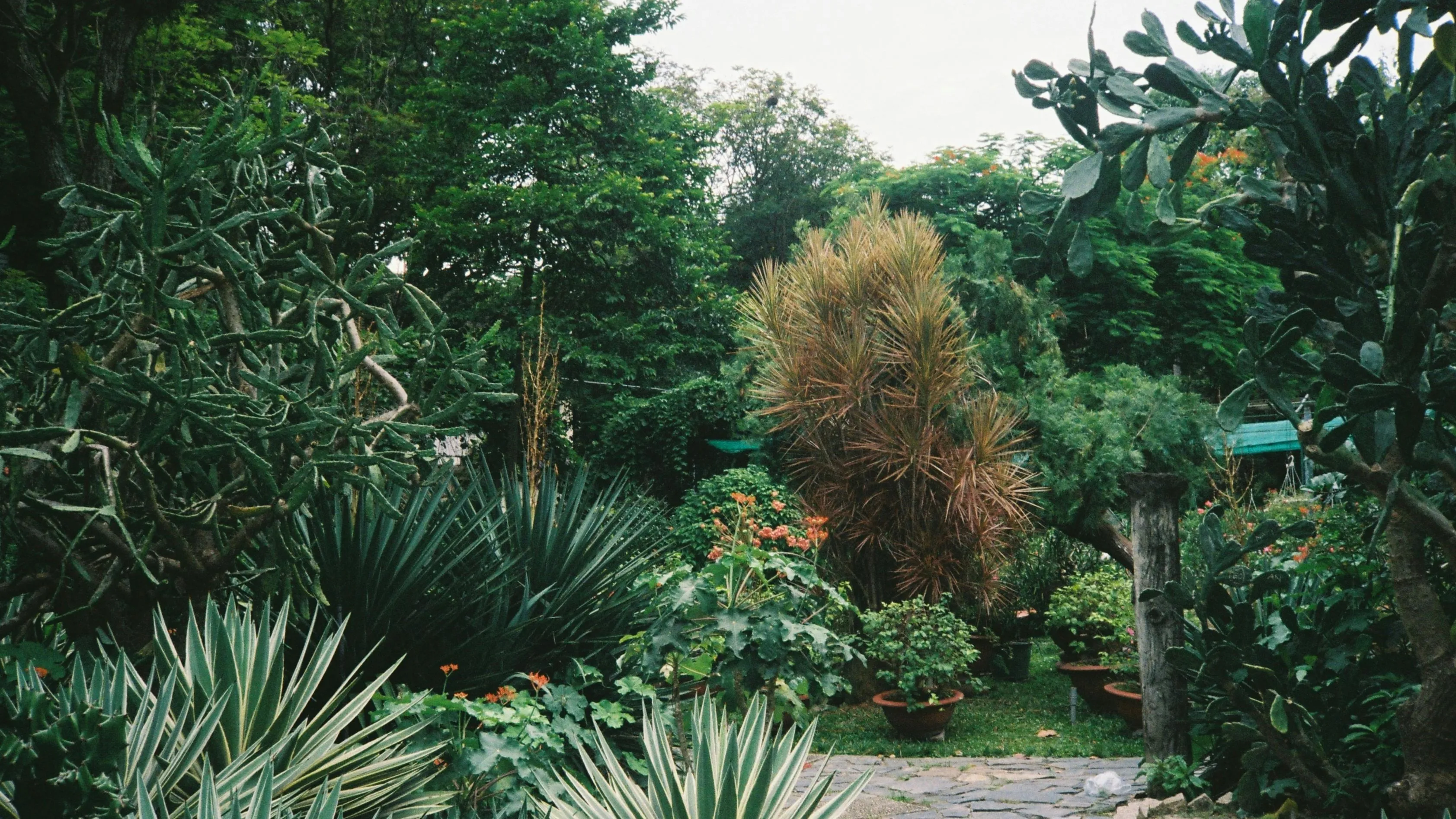 В Алматы на один день закроется Ботанический сад фото на taspanews.kz от 30 апреля 2026 10:12