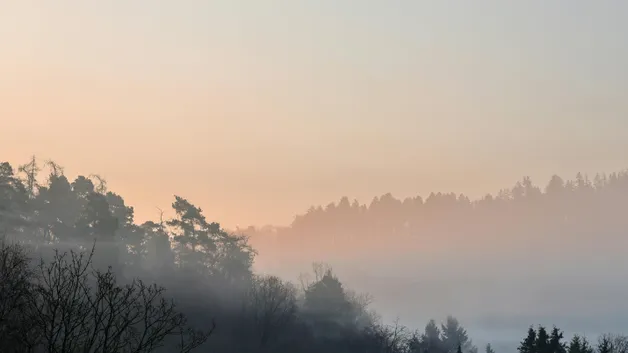 Экологические требования для водителей ужесточат в Алматы