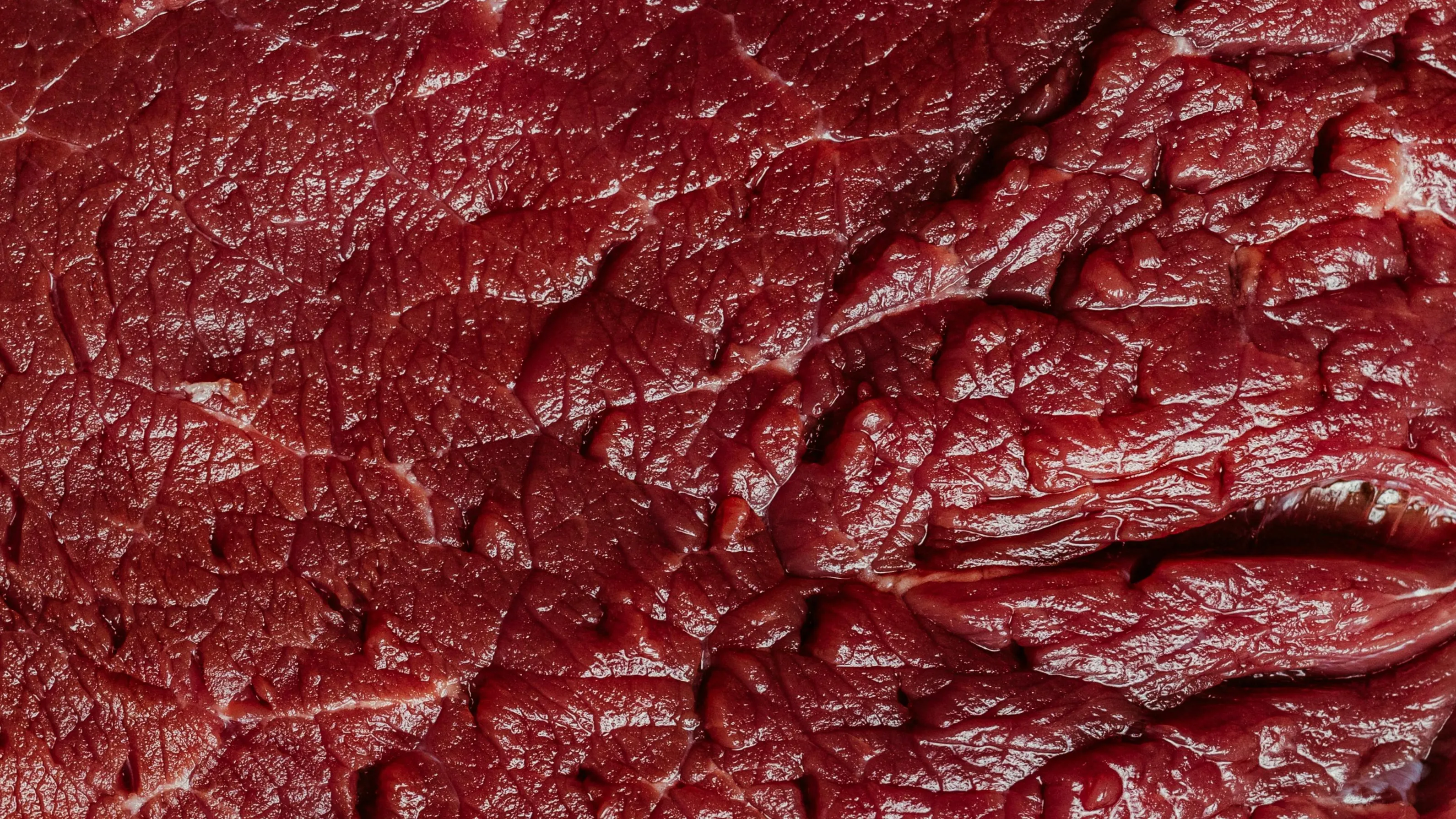 Ветеринары Астаны прокомментировали заявление о мясе собаки в общепитах города фото на taspanews.kz от 21 мая 2026 14:03
