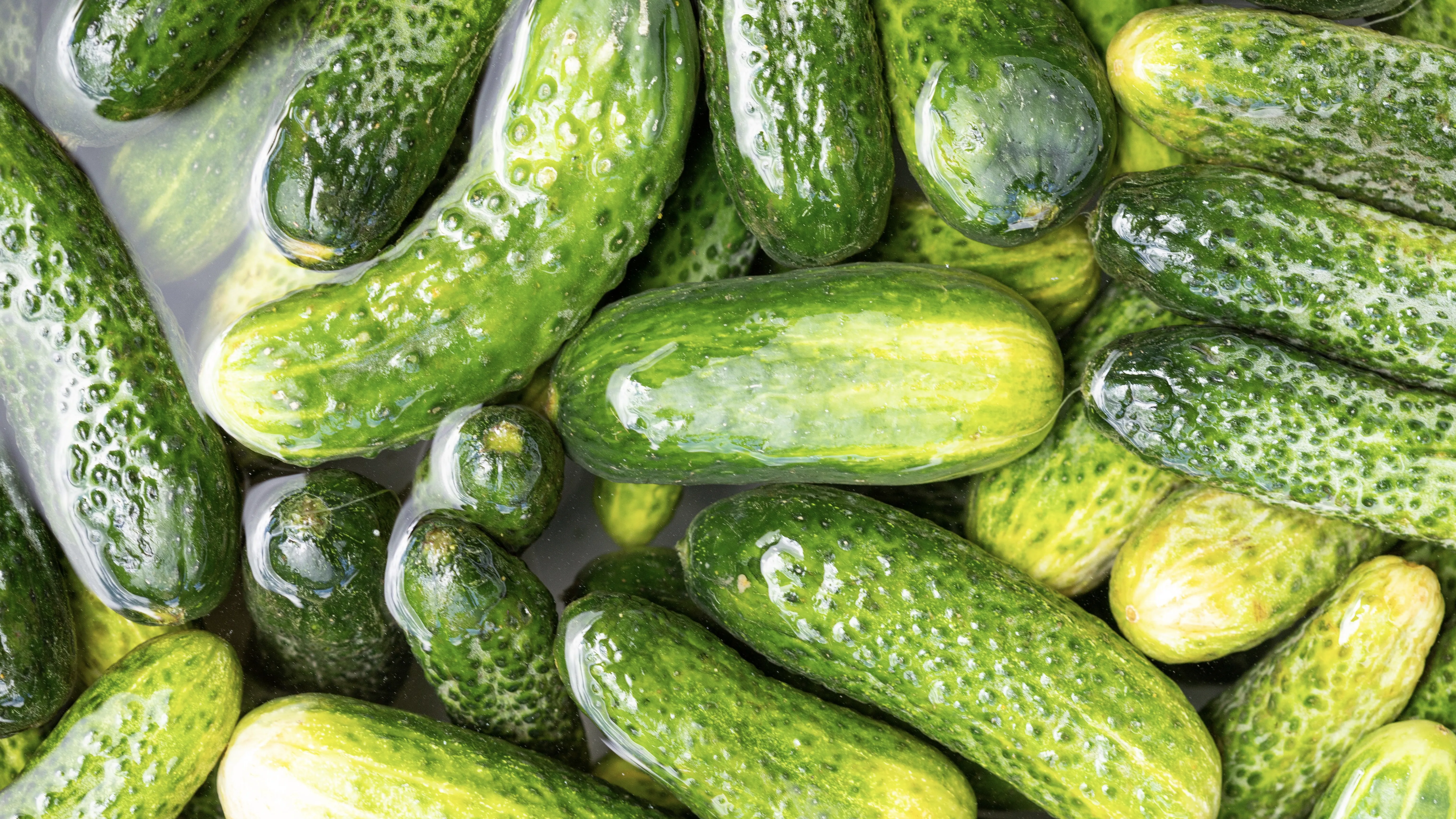 Большую партию огурцов вернули в Россию: продукция не прошла карантинный надзор фото на taspanews.kz от 19 июня 2026 11:24