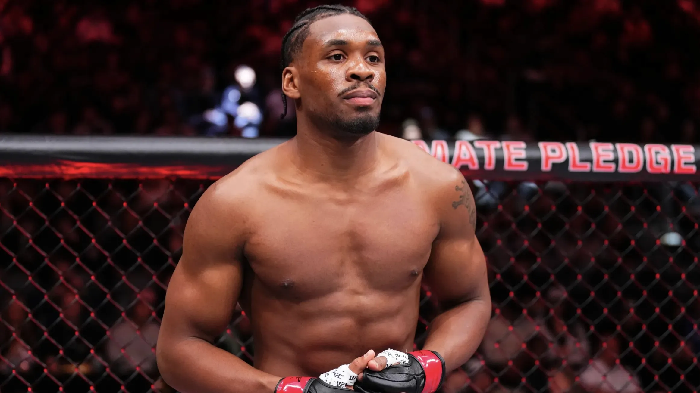 Кард UFC 330 пополнился четырьмя боями перед защитой титула Махачева фото на taspanews.kz от 29 июня 2026 12:42