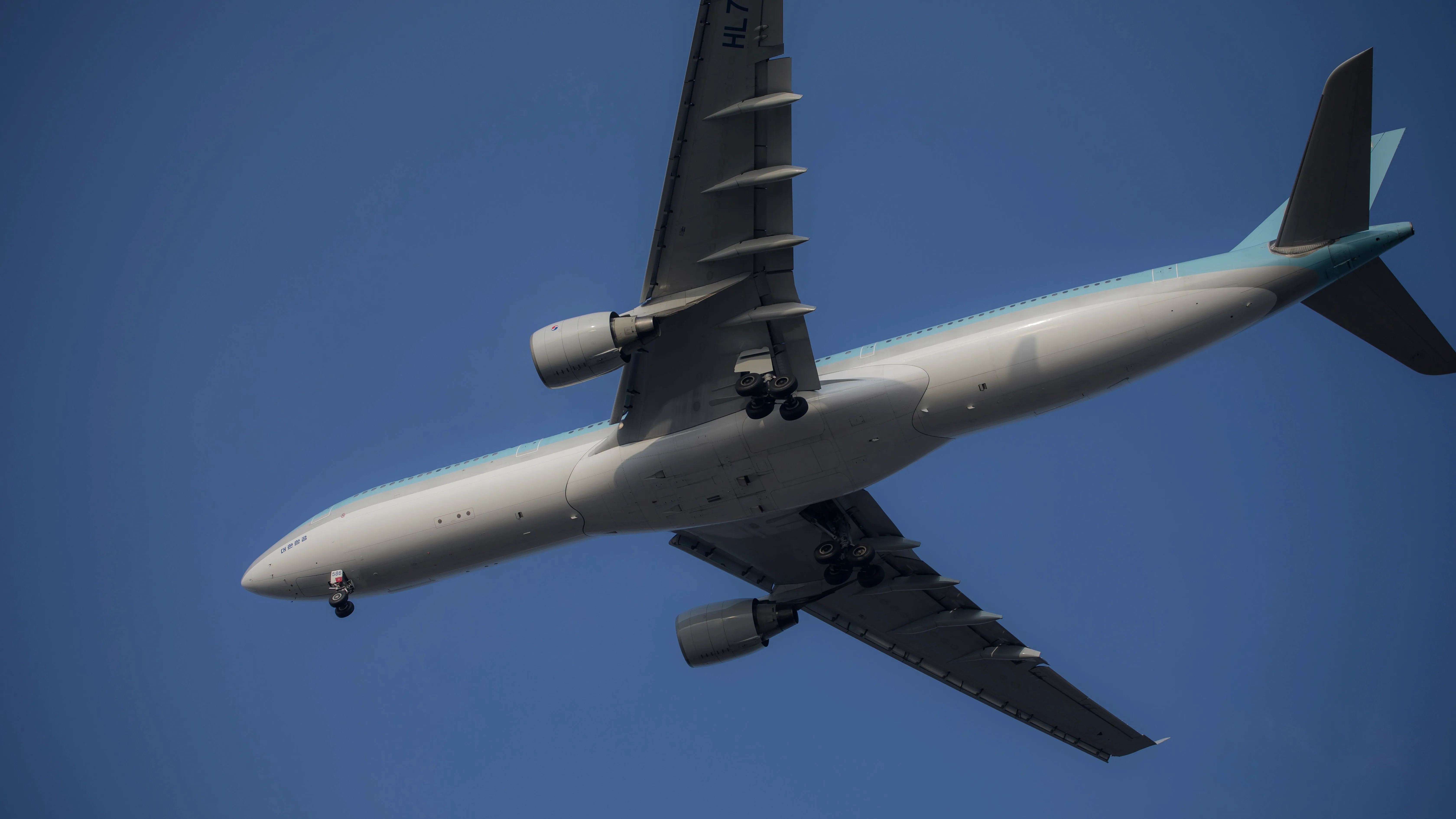 Задержку рейса Анталья - Астана прокомментировали в Air Astana фото на taspanews.kz от 29 июня 2026 12:29