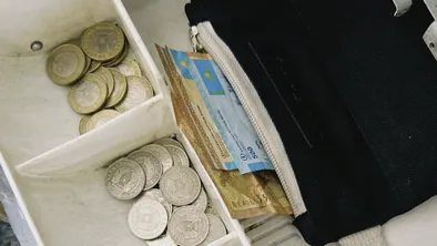 В ЗКО бухгалтер ветстанции похитил 106 млн тенге