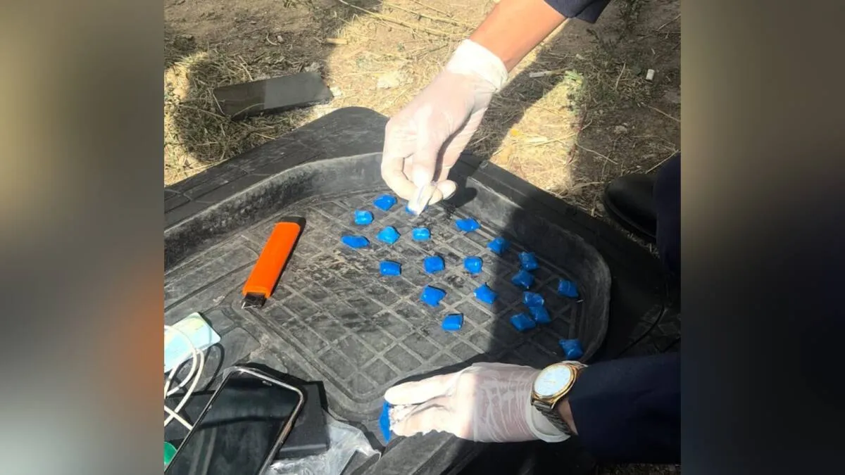 В Кокшетау задержали дилера, продавшего мефедрон во время отсрочки приговора