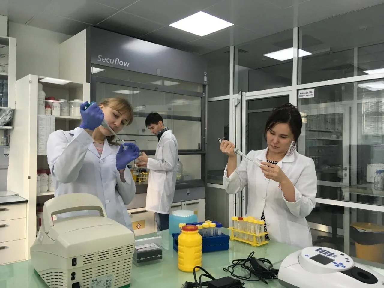 В Казахстане создали ПЦР-тест для выявления подмены мяса в продуктах