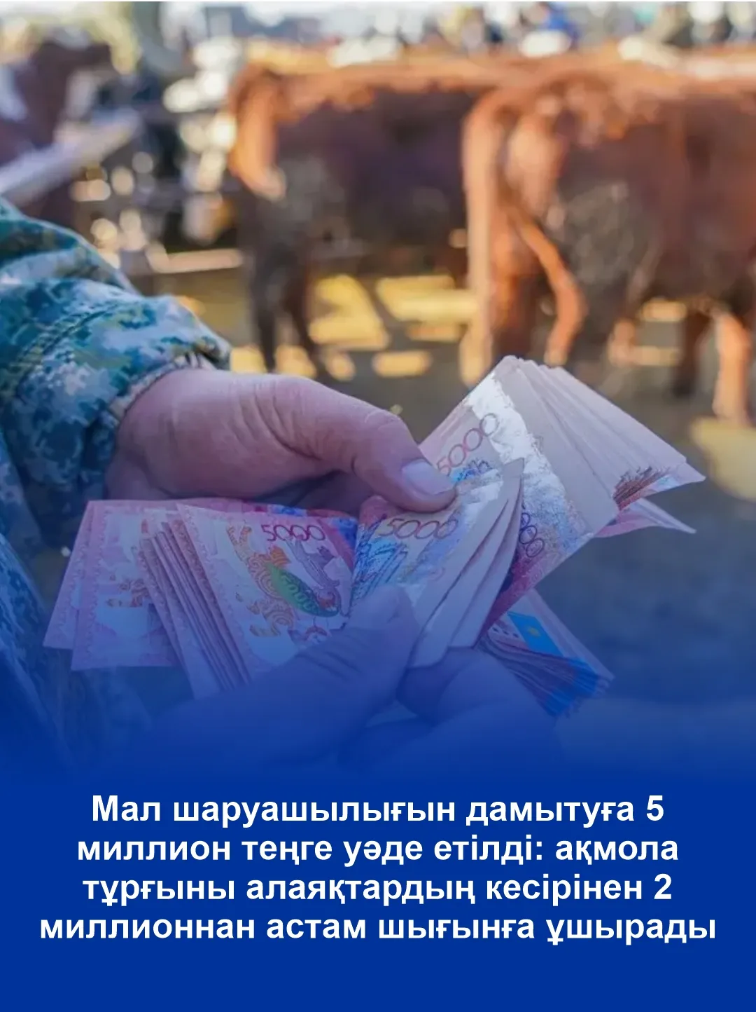 Казахстанка потеряла свыше двух миллионов тенге ради фейкового гранта