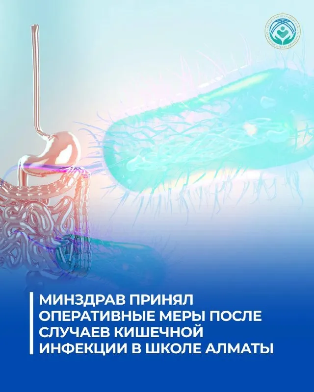 Минздрав сообщил о результатах проверки после госпитализации 48 учеников РФМШ в Алматы
