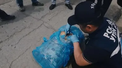 Сотрудниками полиции Казахстана в рамках спецоперации выявлены и ликвидированы каналы доставки наркотиков в Мангистауской и Улытауской областях, конфисковано 225 кг марихуаны.