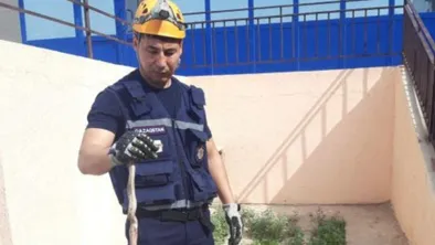 Спасатели в Кызылорде оперативно справились с задачей по поимке змеи на территории центра поддержки семьи «Бақытты отбасы»